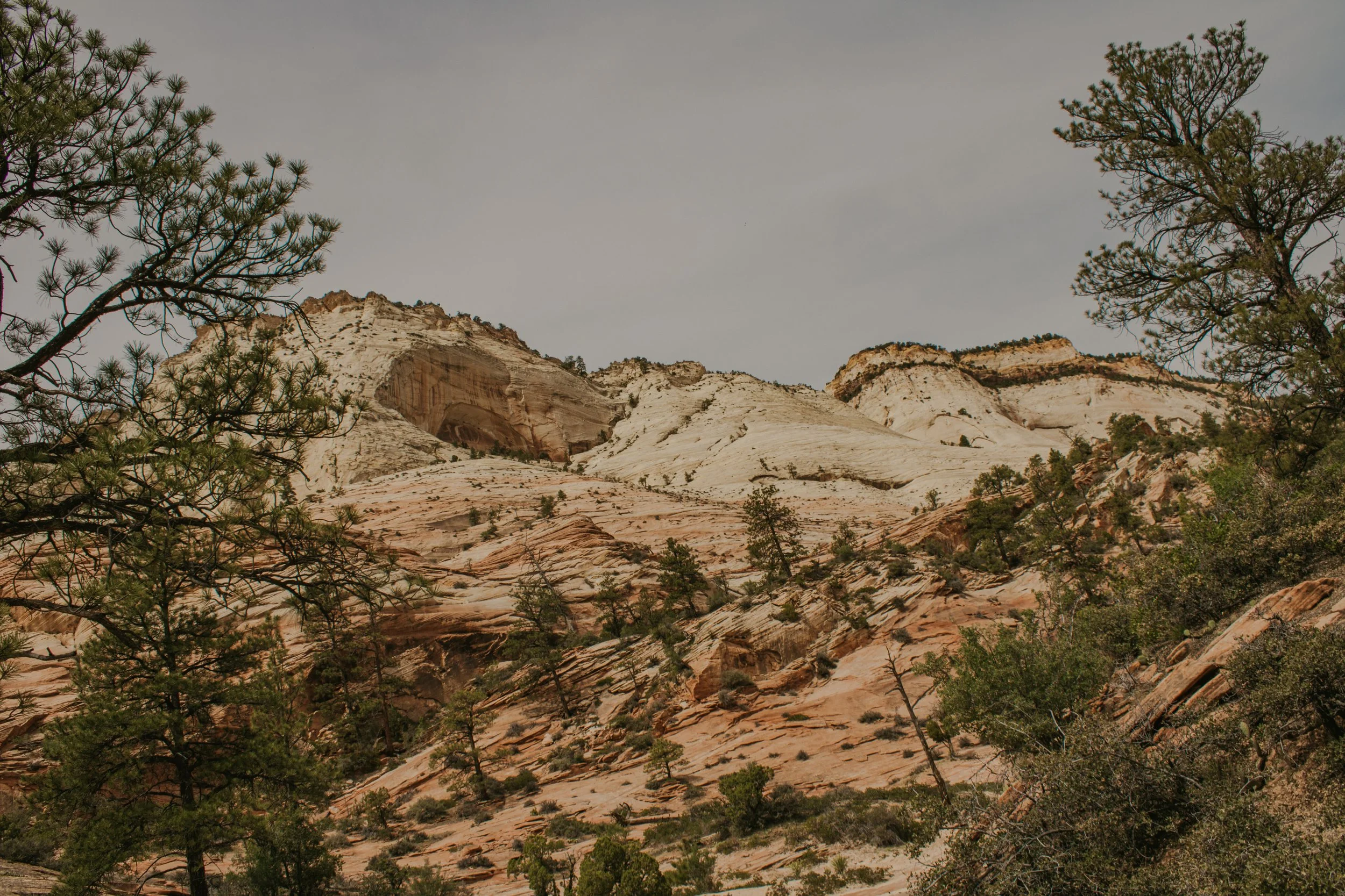 asuttonphotos-208.jpg