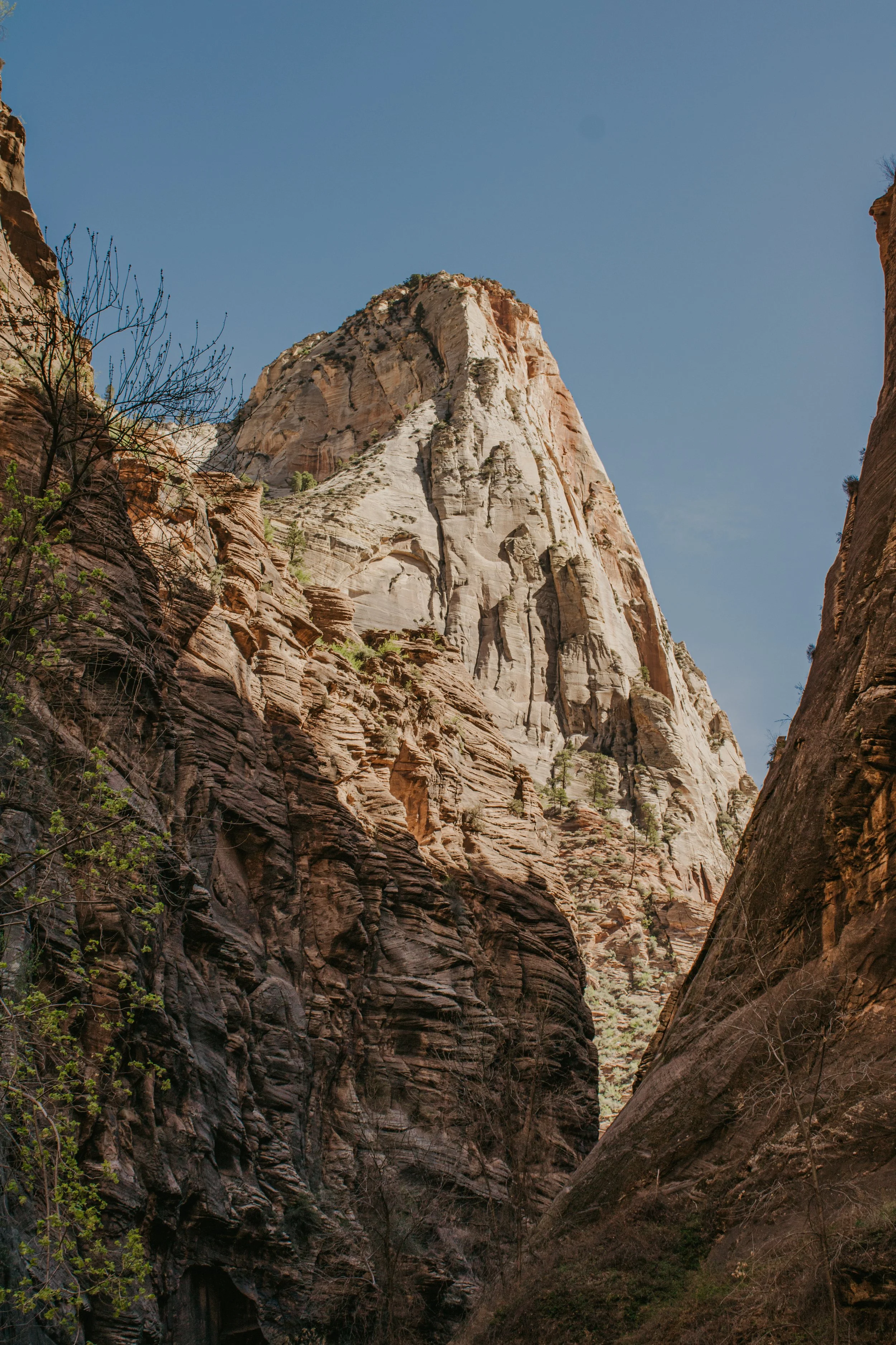 asuttonphotos-140.jpg
