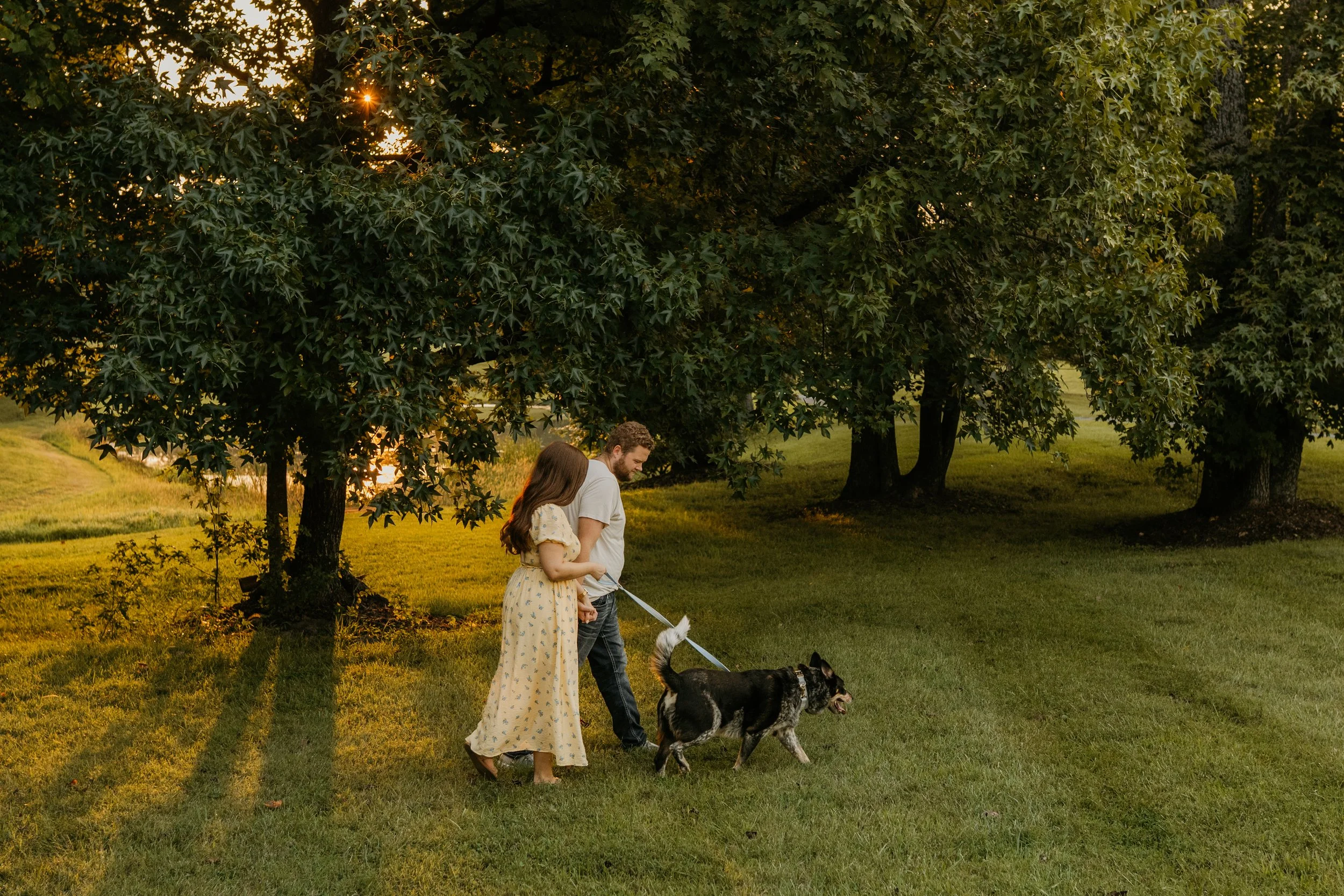 A man and woman walking a dog in a park during sunset, with large trees and green grass.