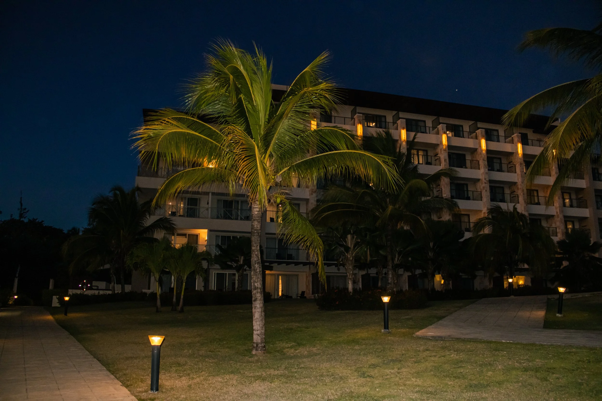 asuttonphotos-46.jpg