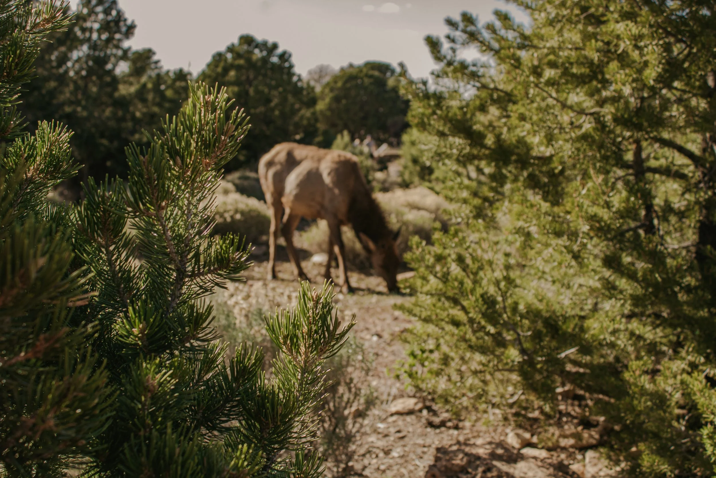 asuttonphotos-104.jpg