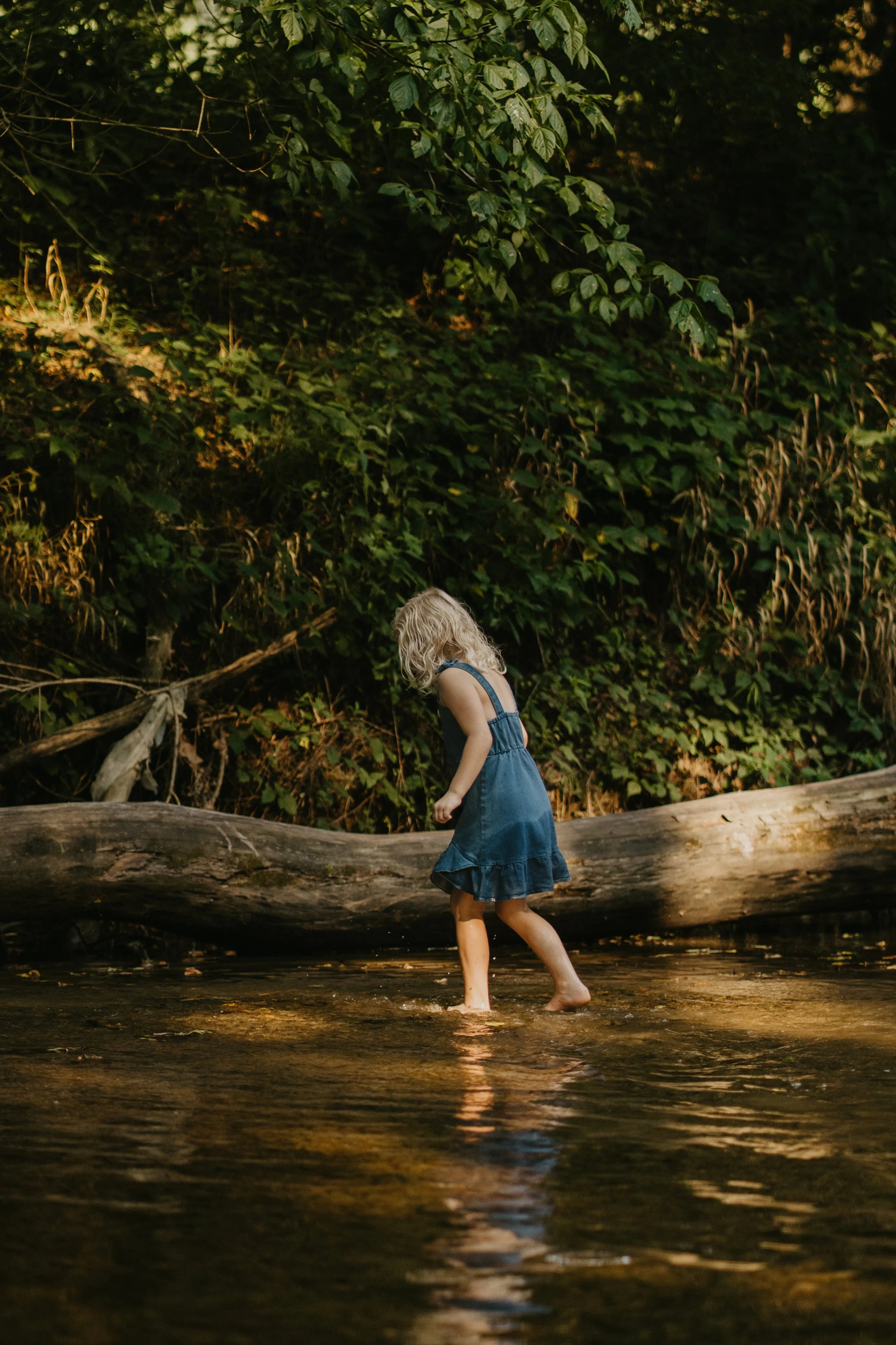 A young girl in a blue dress wading in shallow water near a fallen log, with lush green foliage in the background.