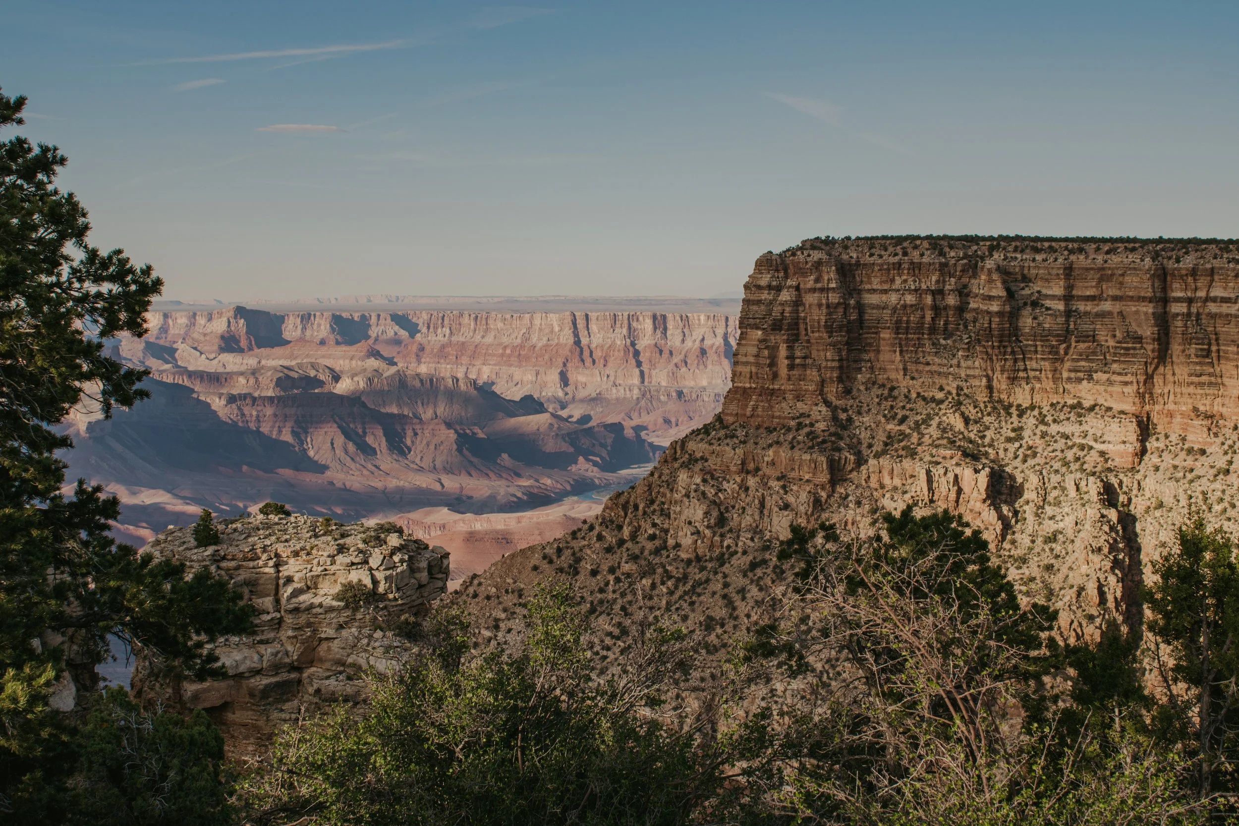asuttonphotos-123.jpg