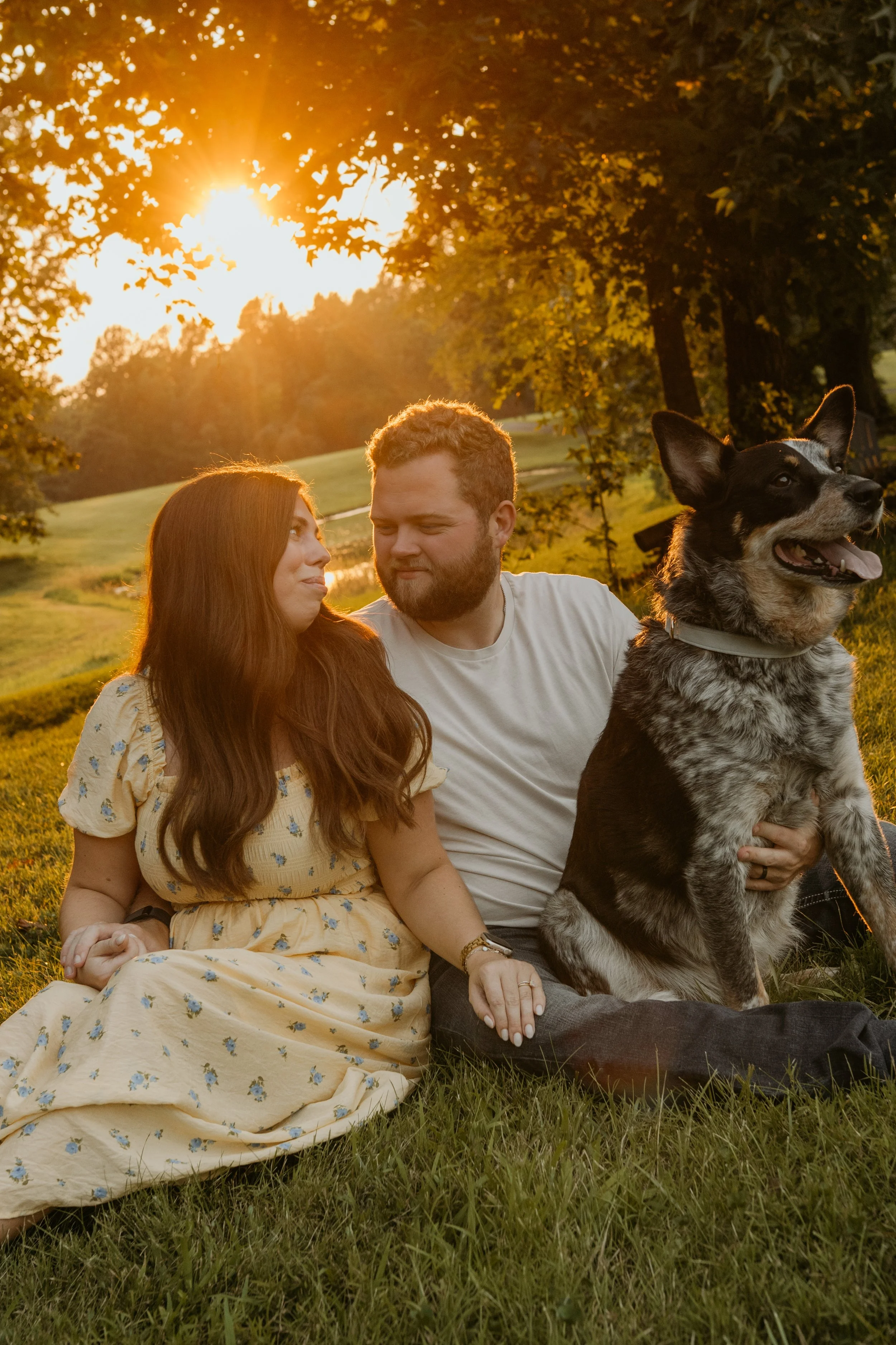 A couple sitting on grass with a large dog, during sunset in a park.