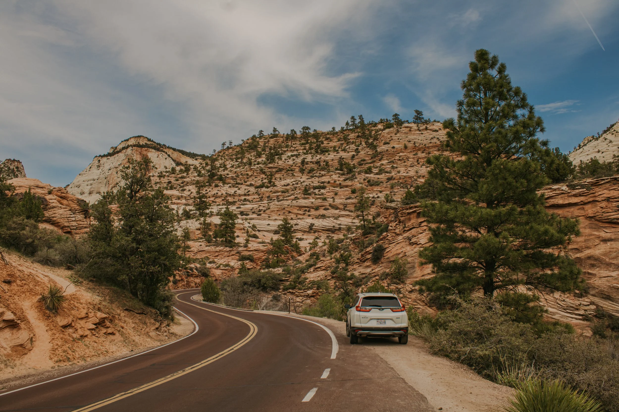 asuttonphotos-240.jpg