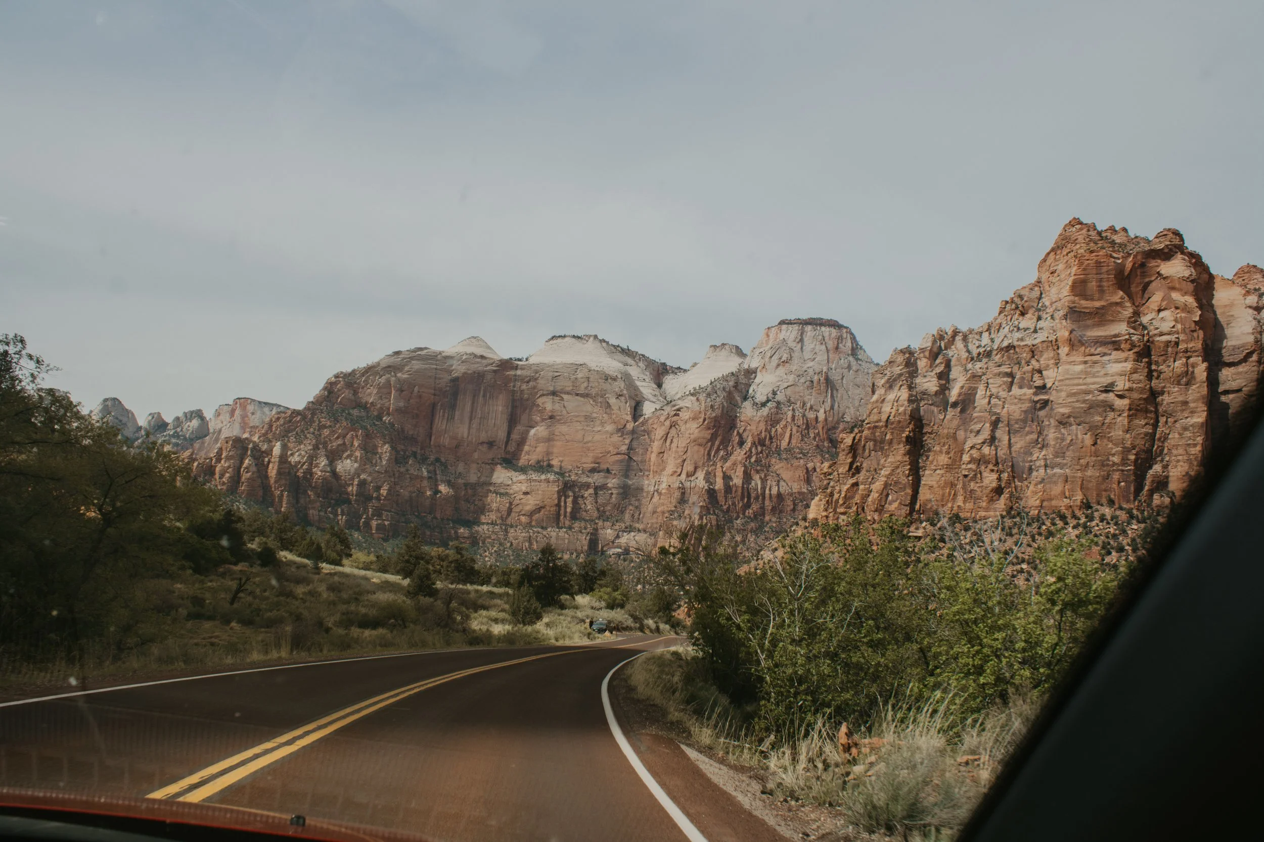 asuttonphotos-249.jpg