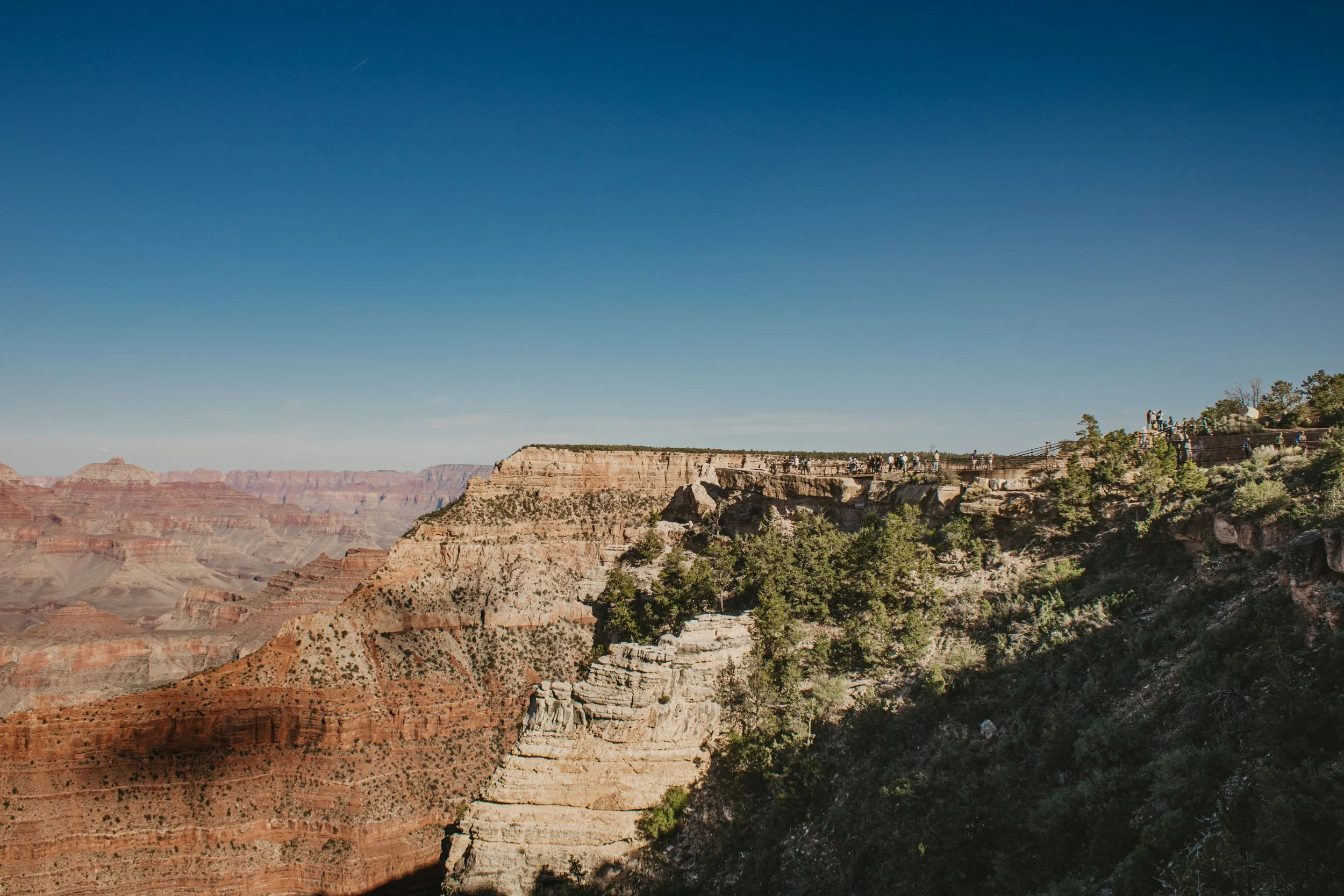 asuttonphotos-87.jpg