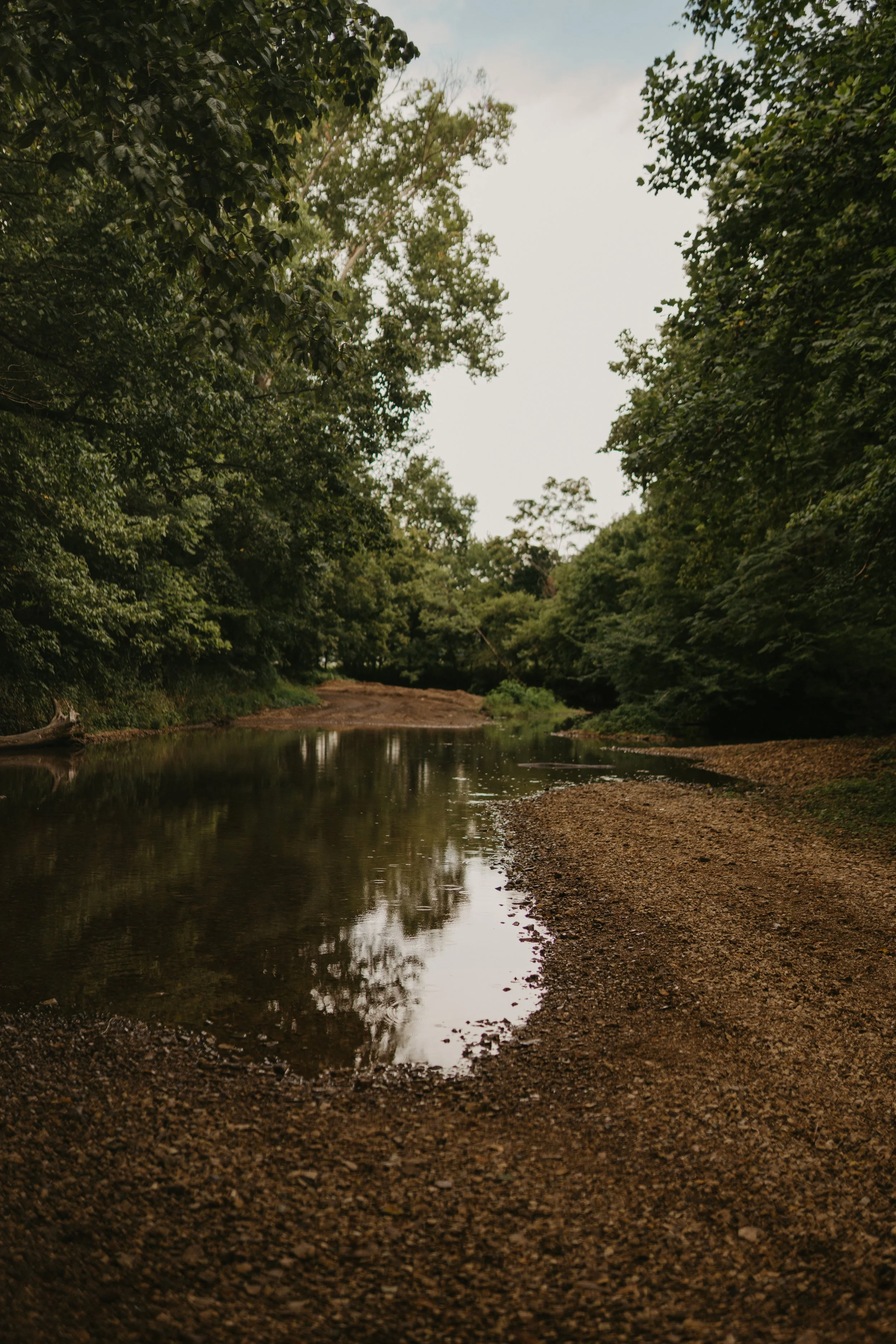 A peaceful river scene surrounded by lush green trees, with reflective water and a dirt shoreline.