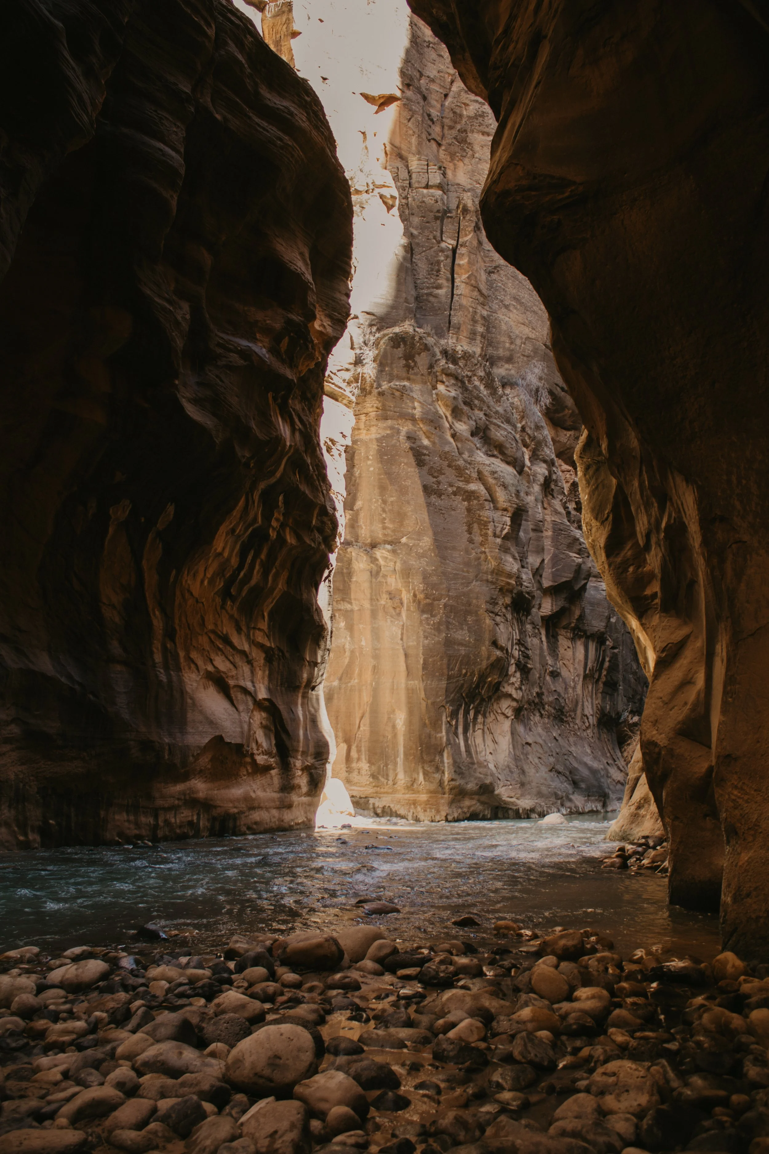 asuttonphotos-170.jpg