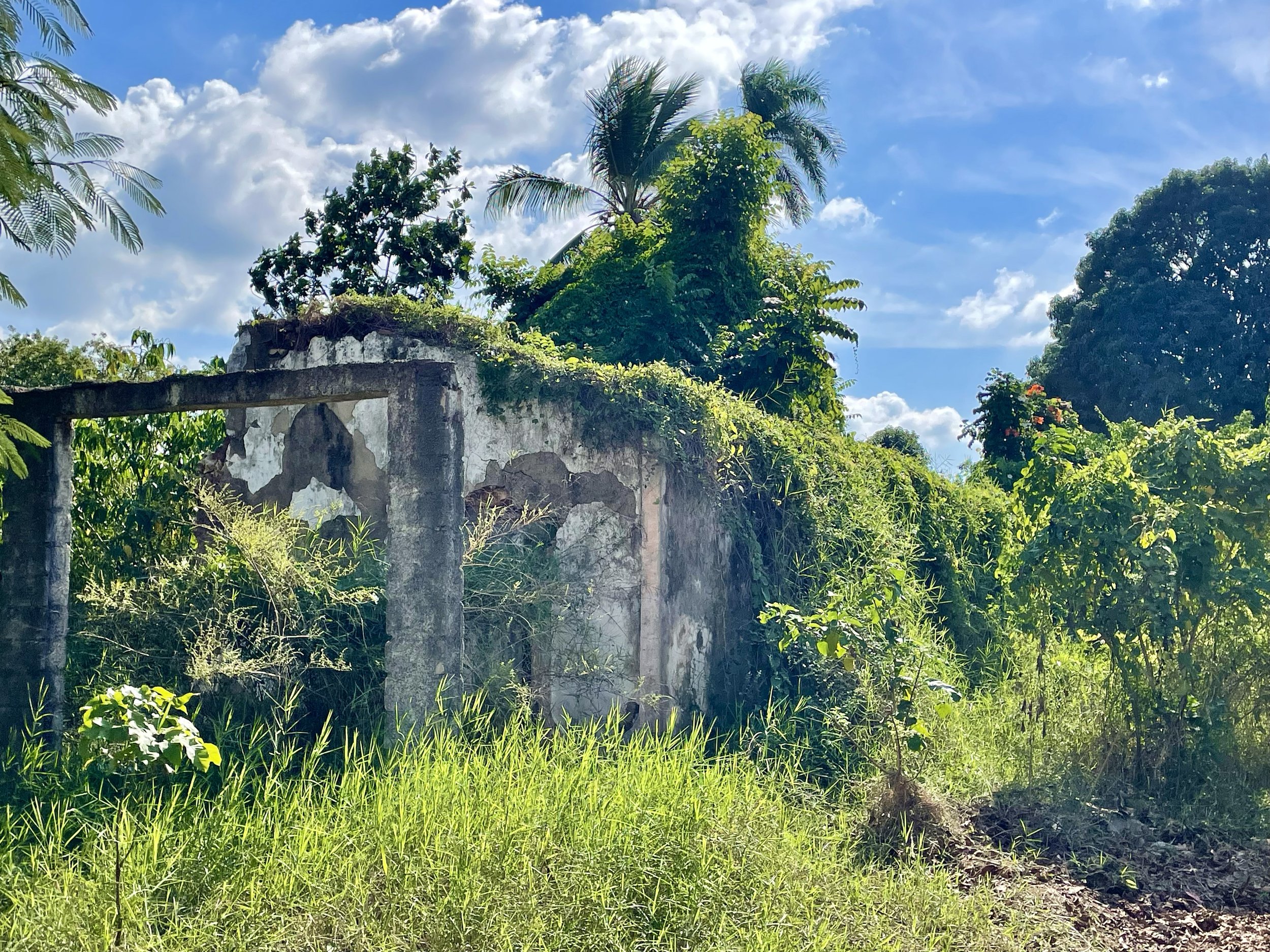 073-chirigota-ruins-of-braulio-sanchez-house.jpg