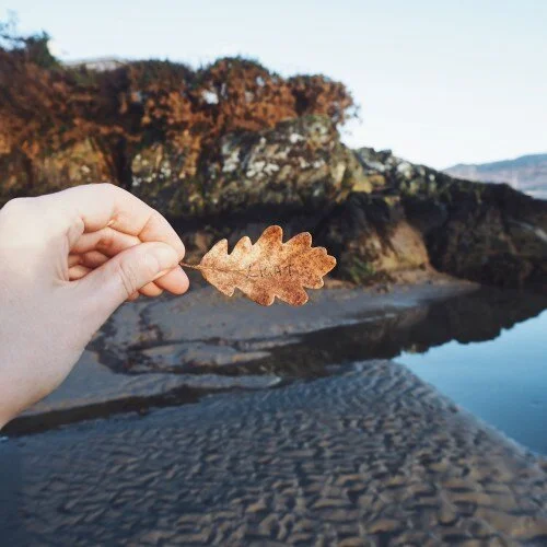 Hand-holding-oak-leaf-by-a-river (1).jpg