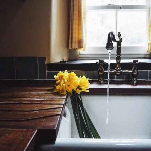 Daffodils-in-a-sink (1).jpg