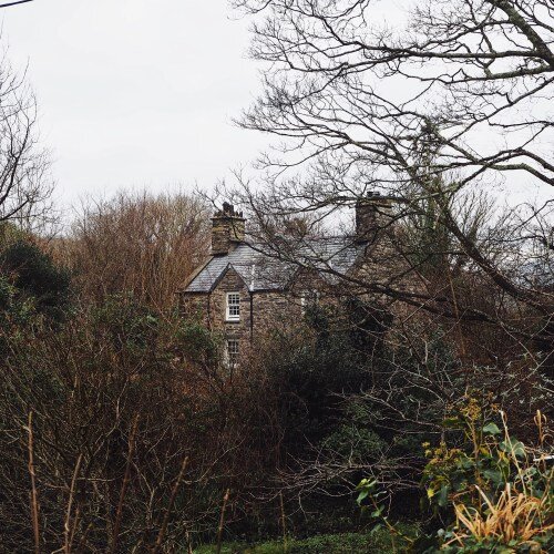 Welsh-house-among-the-trees.jpg