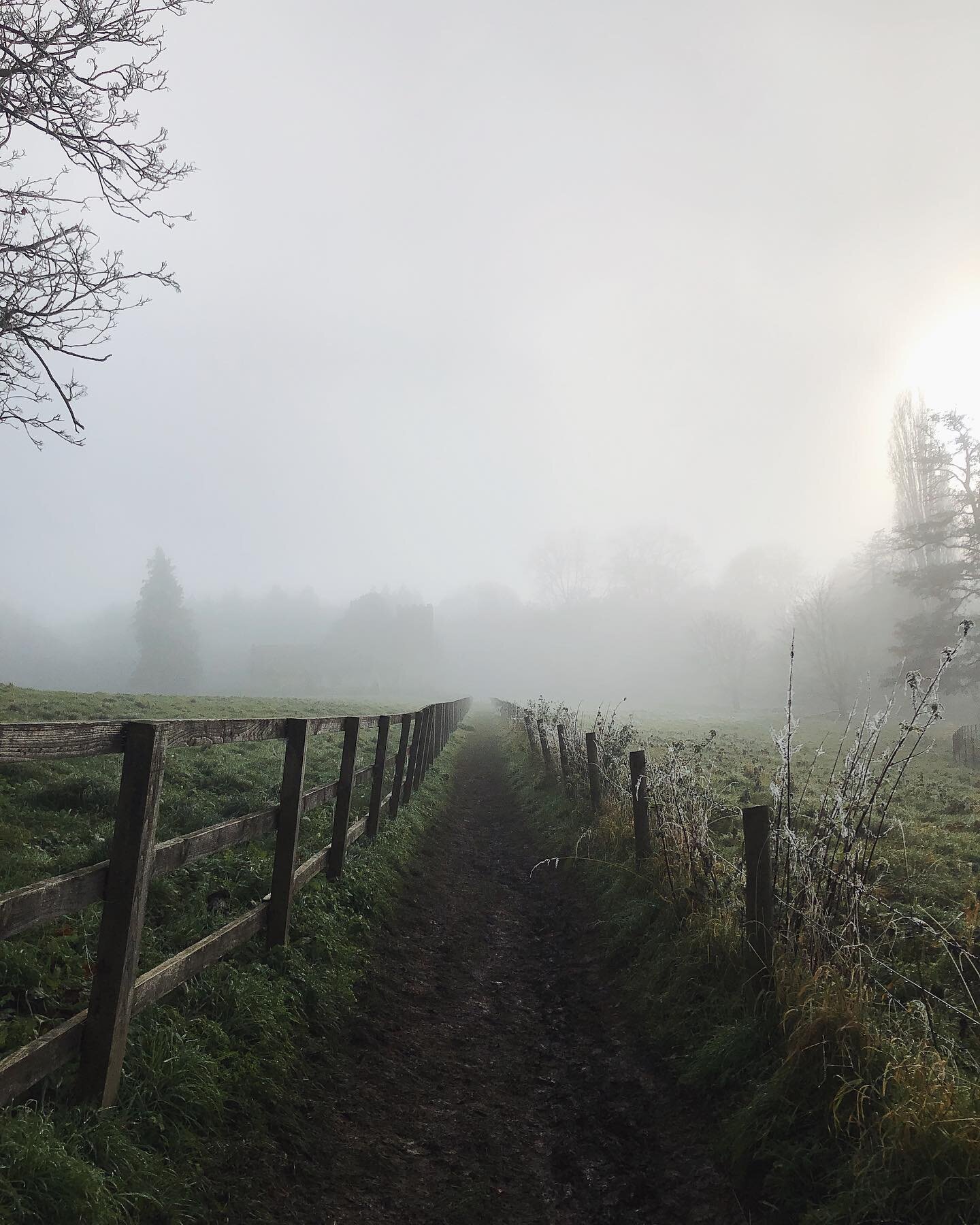 Scenes from a #mistymilkymoodyfoggy afternoon at the weekend. 

Can you believe someone had the unmitigated gall to say &ldquo;I think you&rsquo;ve got enough pictures of frosty barbed wire now&rdquo;?!

#holdthemoment #livemoremagic #slowlived #simp