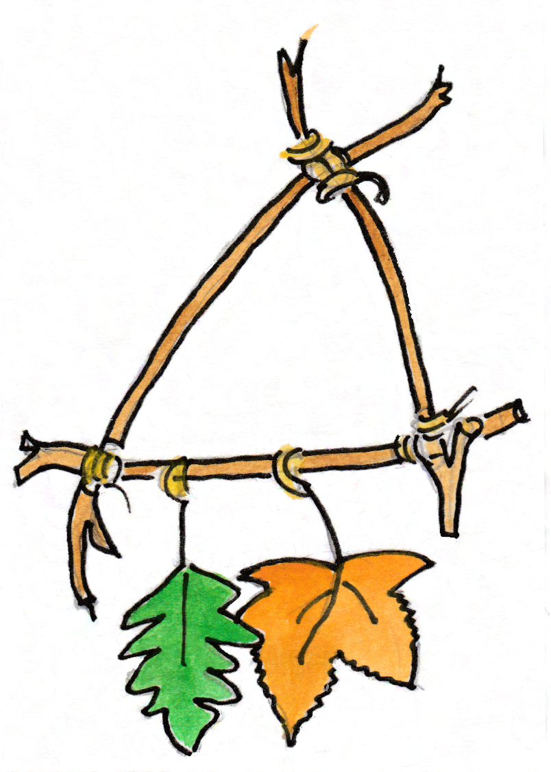 AOGLwillow.png