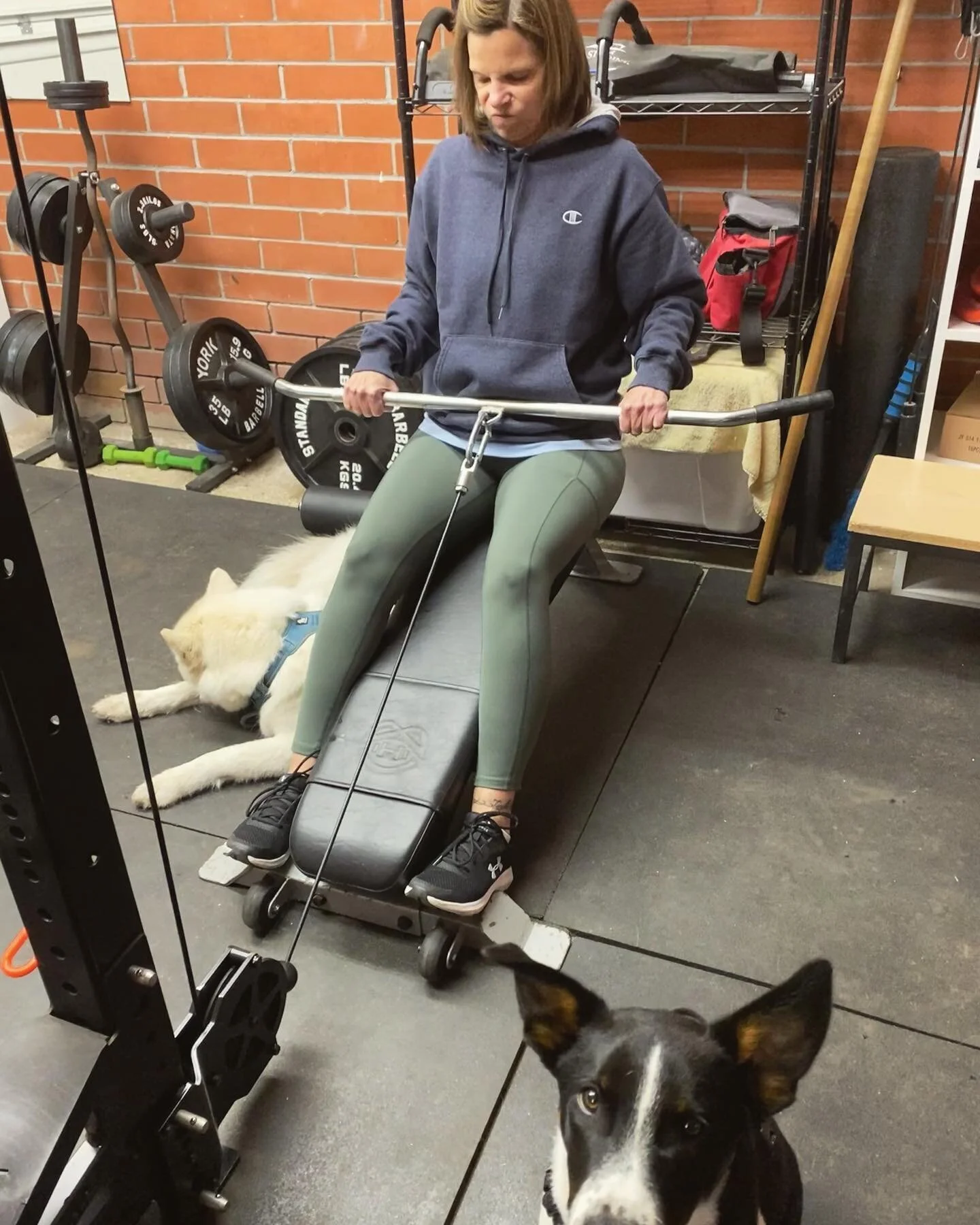 Personal Training Sessions at my private studio gym are available! Each workout comes with 2 training partners, Nala🐺 and Kobe🐶

Kim is here absolutely killing some rows under the close supervision of Nala and not so close supervision of Kobe. 

Kn