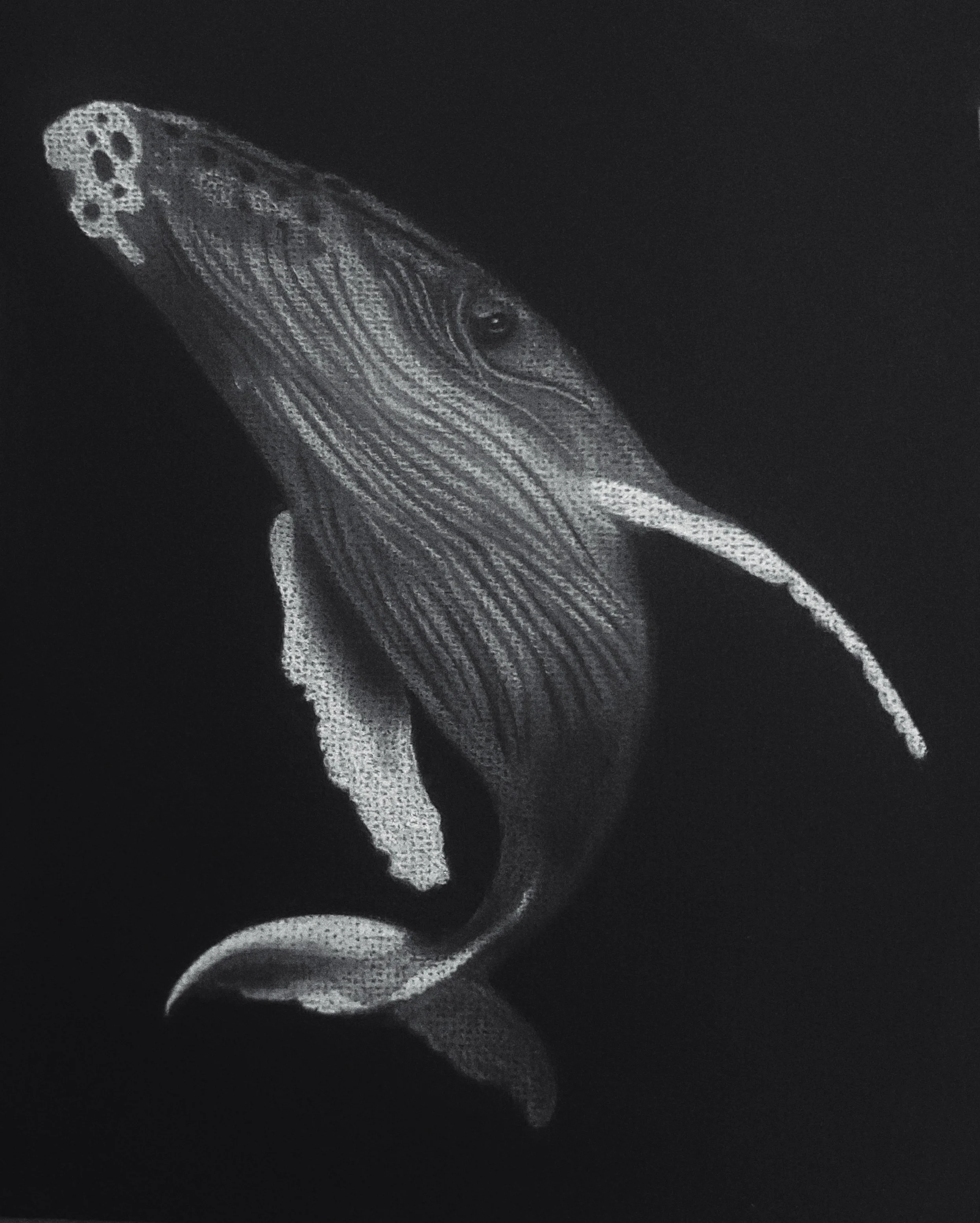 	"Surface". Pastel Original. Whale artwork