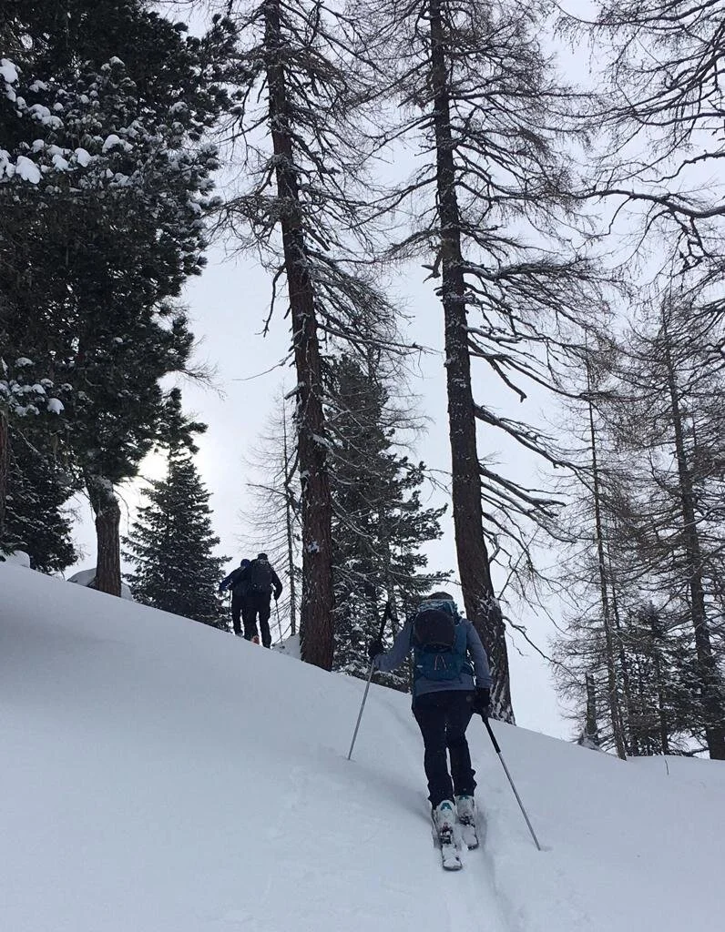 83e8775d-dfc1-4594-90ed-6cd9711226b3.jfif