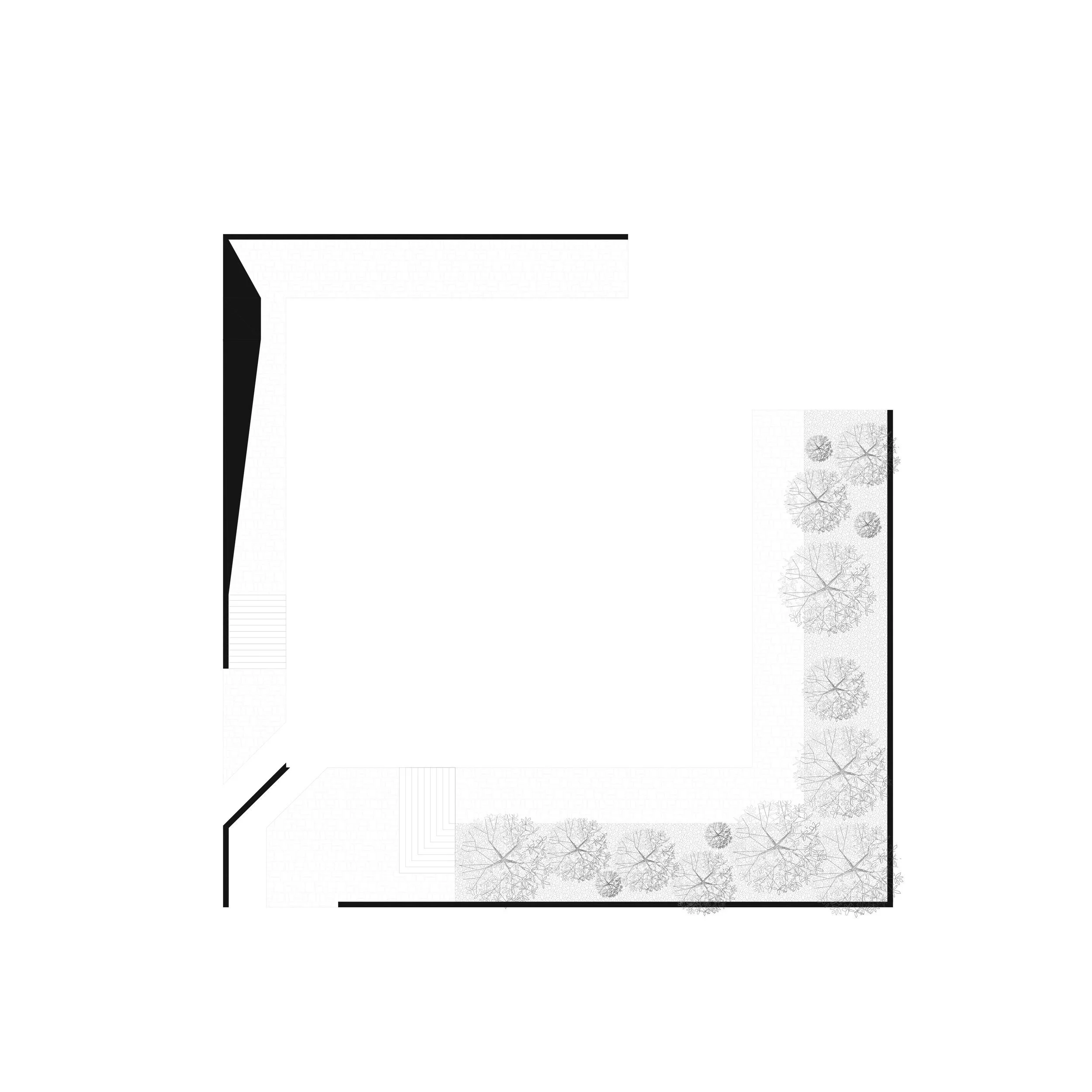 proposal by Jumber Shotadze