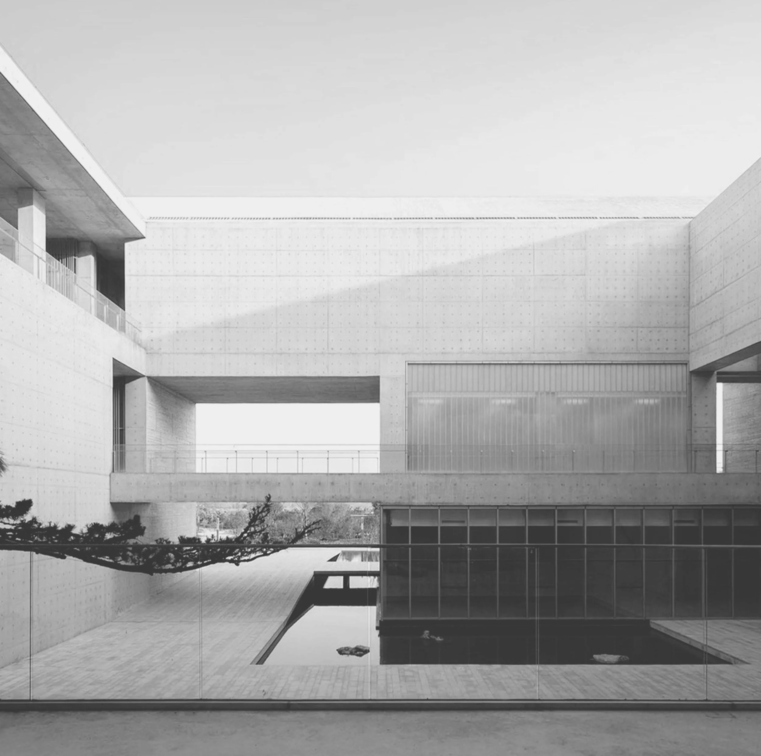 Shou Country - Photo.jpg