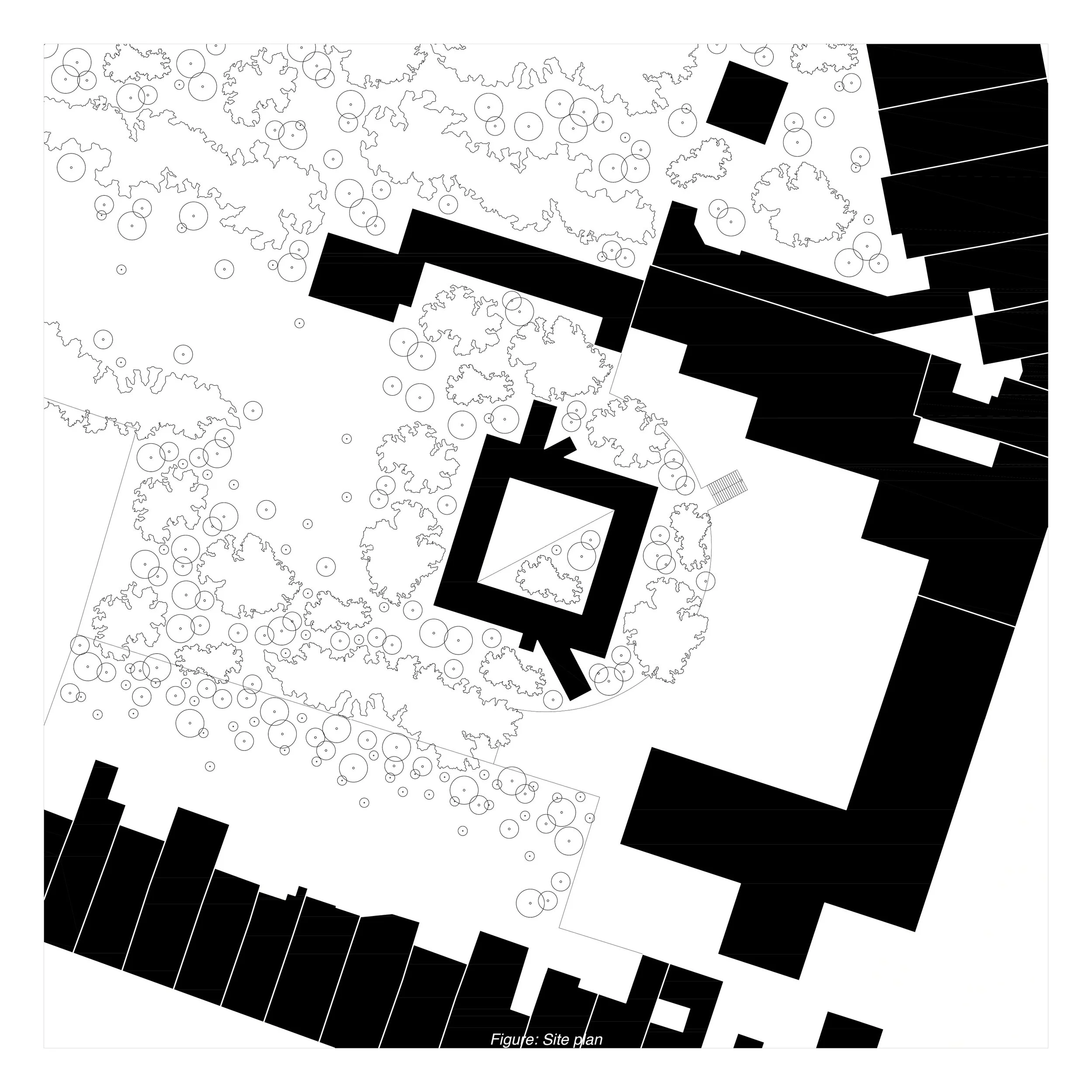 Library by Martin Alvarez