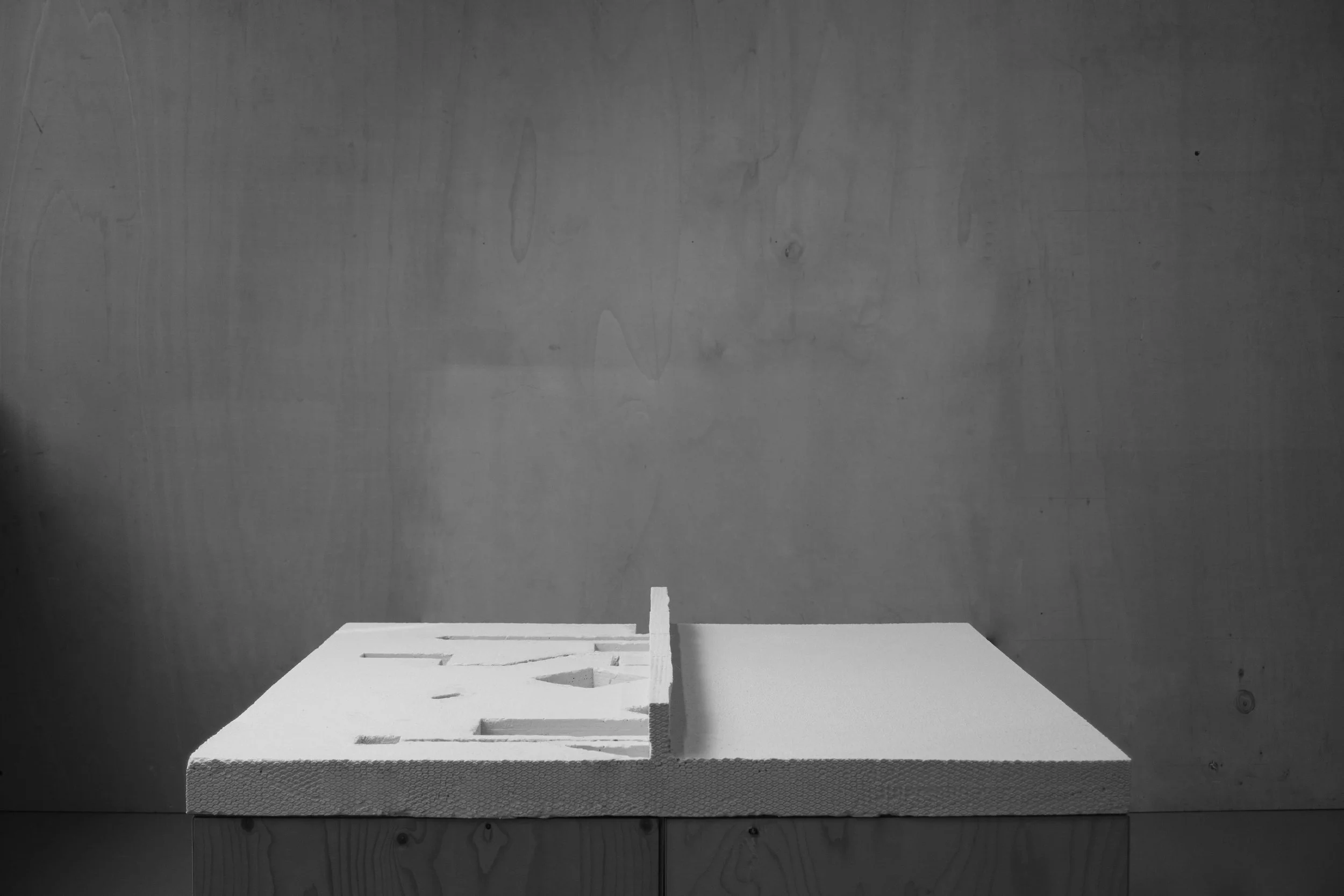 ABSTRACTED/ADAPTED INVERTED HOUSE by Miruna Bojuc Teodorescu +Vojtech Trochta