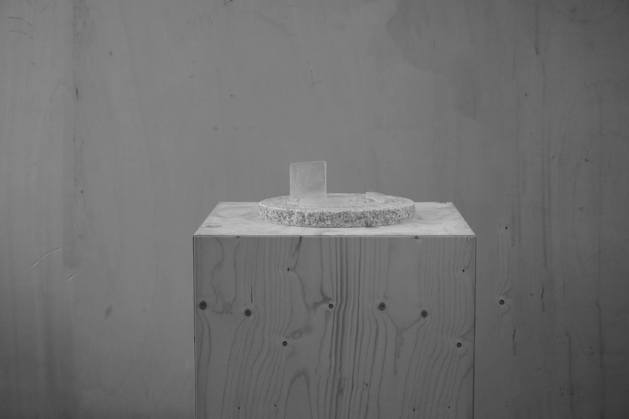 Abstract by Thomas Janssens 