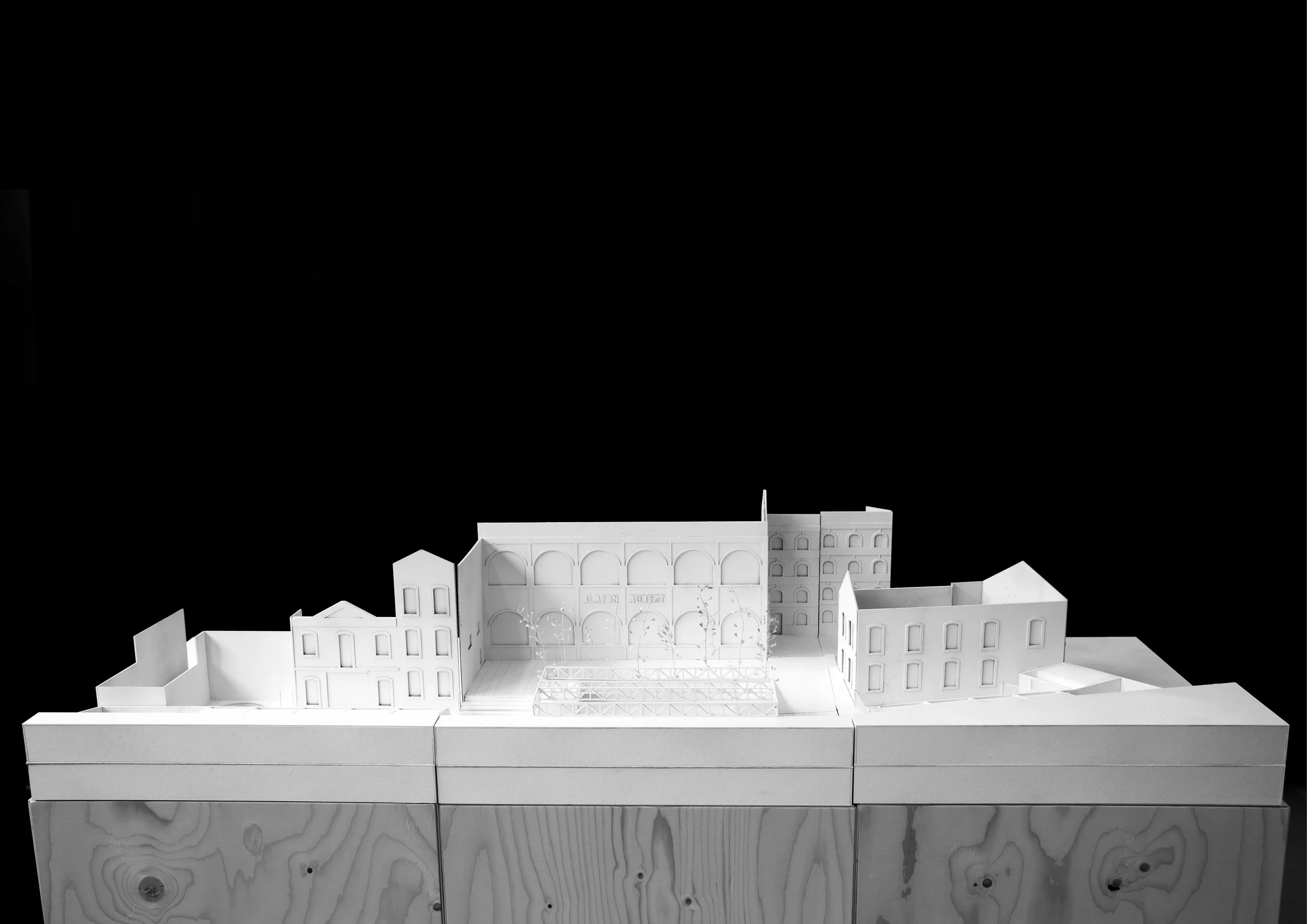 PROJECT - Cecelia Vincent