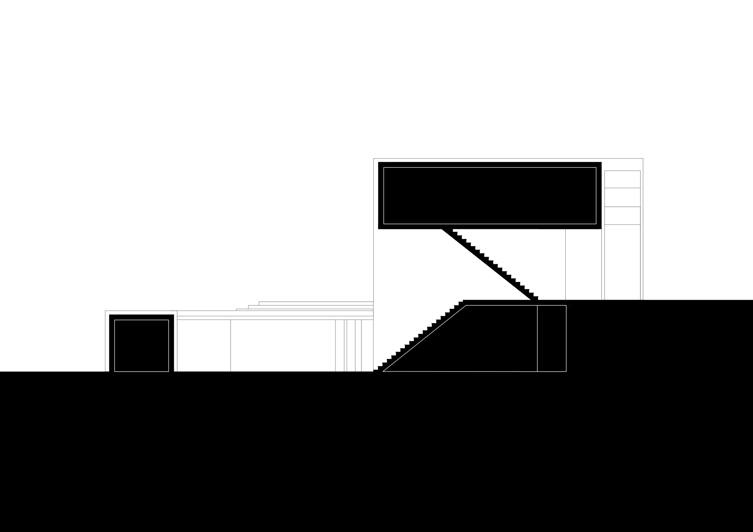 Section.png