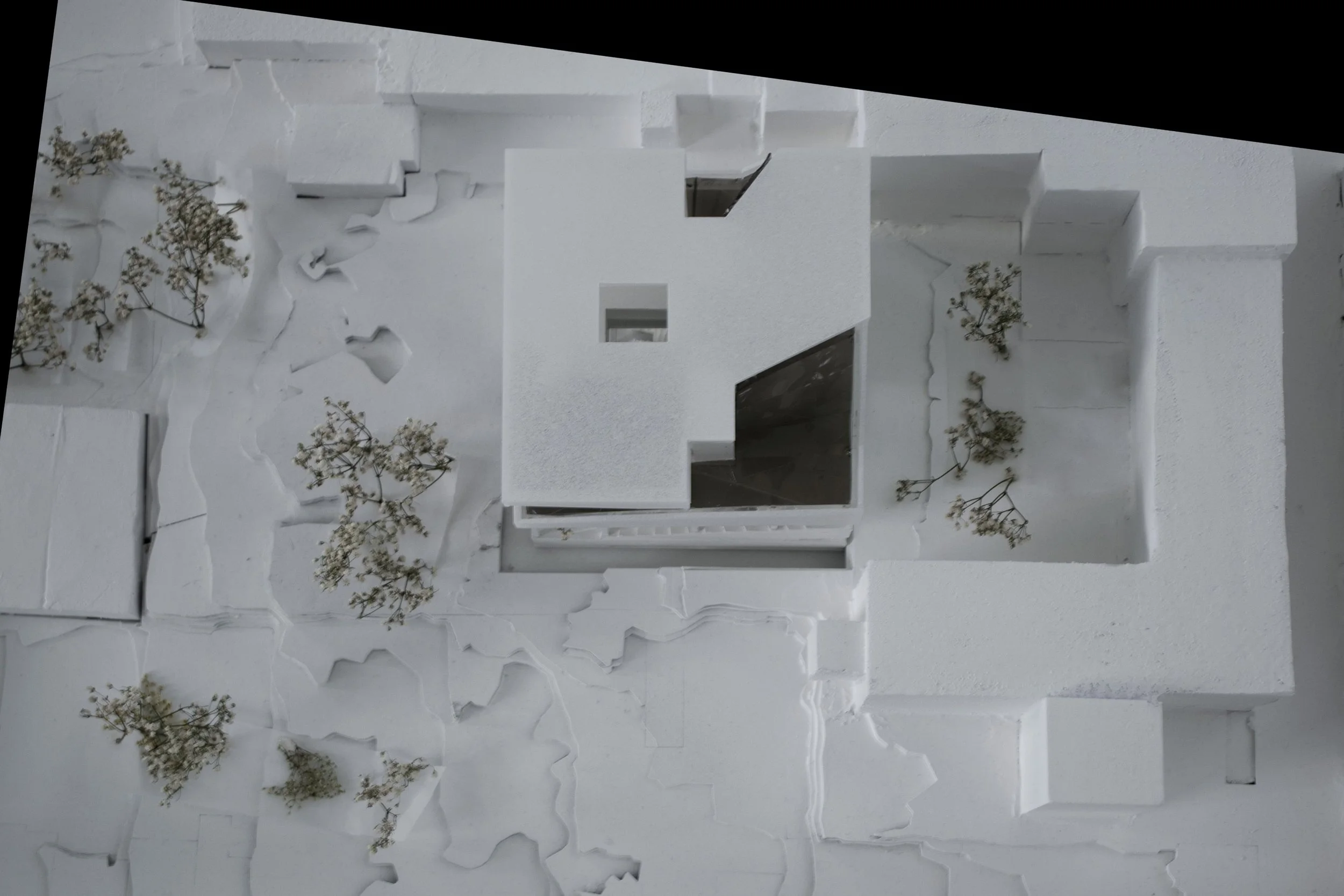 Proposal by Andrea-Leticia Keri