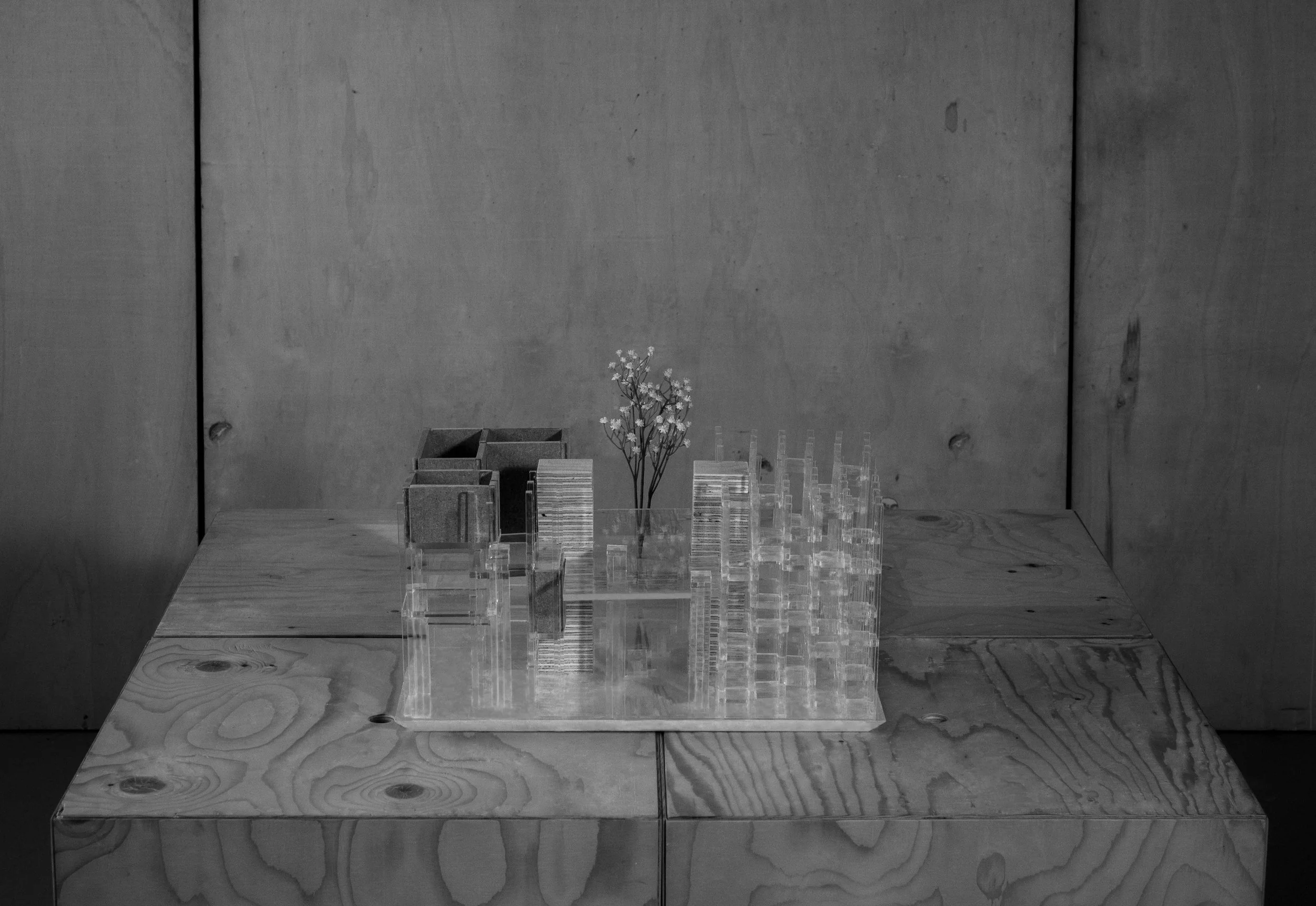 ADAPTED house na by Alessandra Moraru & Ivor Gabric