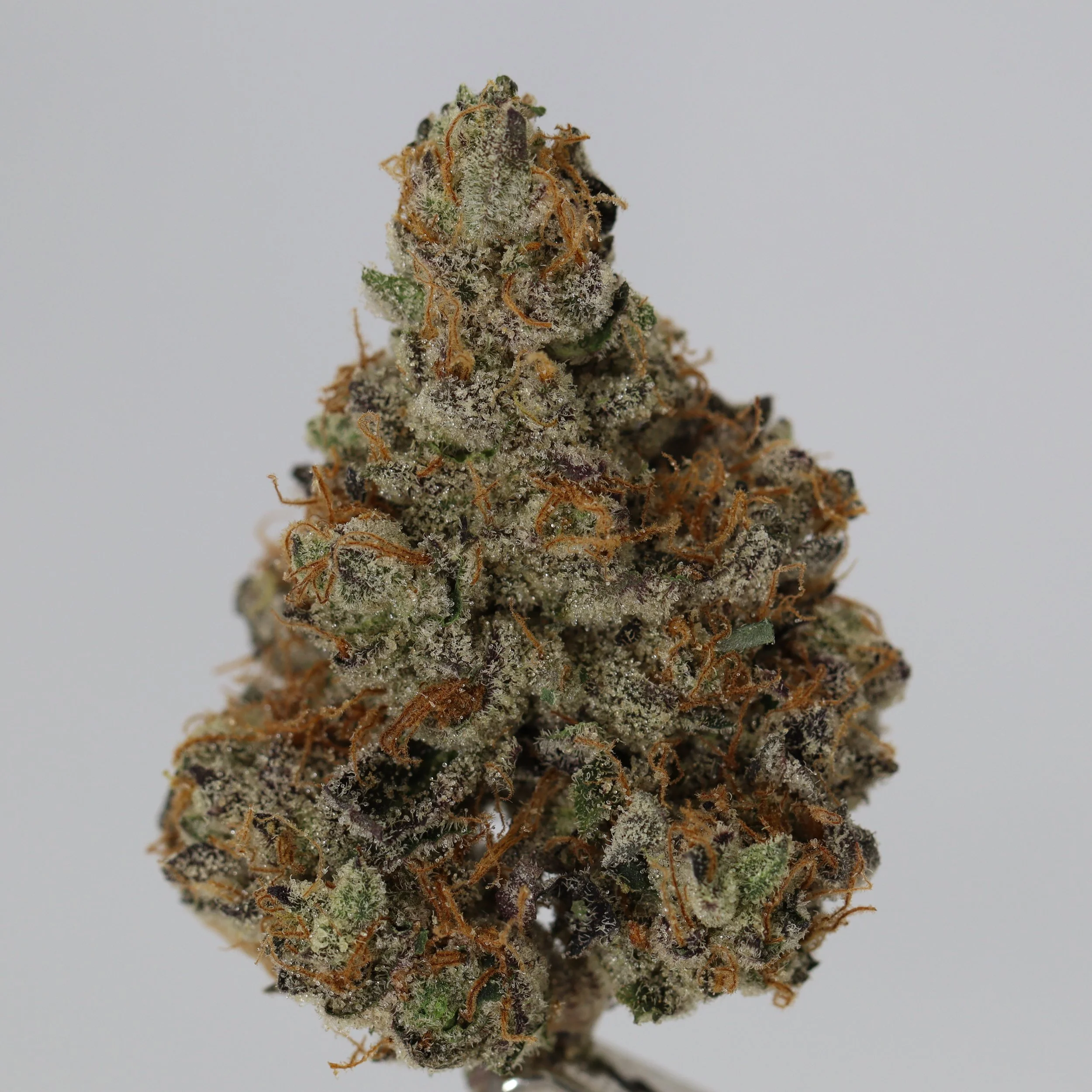   Firefly Organics  
  Wedding Pie  
  (Grape Pie x Wedding Cke)  
 $30 - 1/8
 
$60 - 1/4
 
$110 - 1/2
 
$210 - Full
 