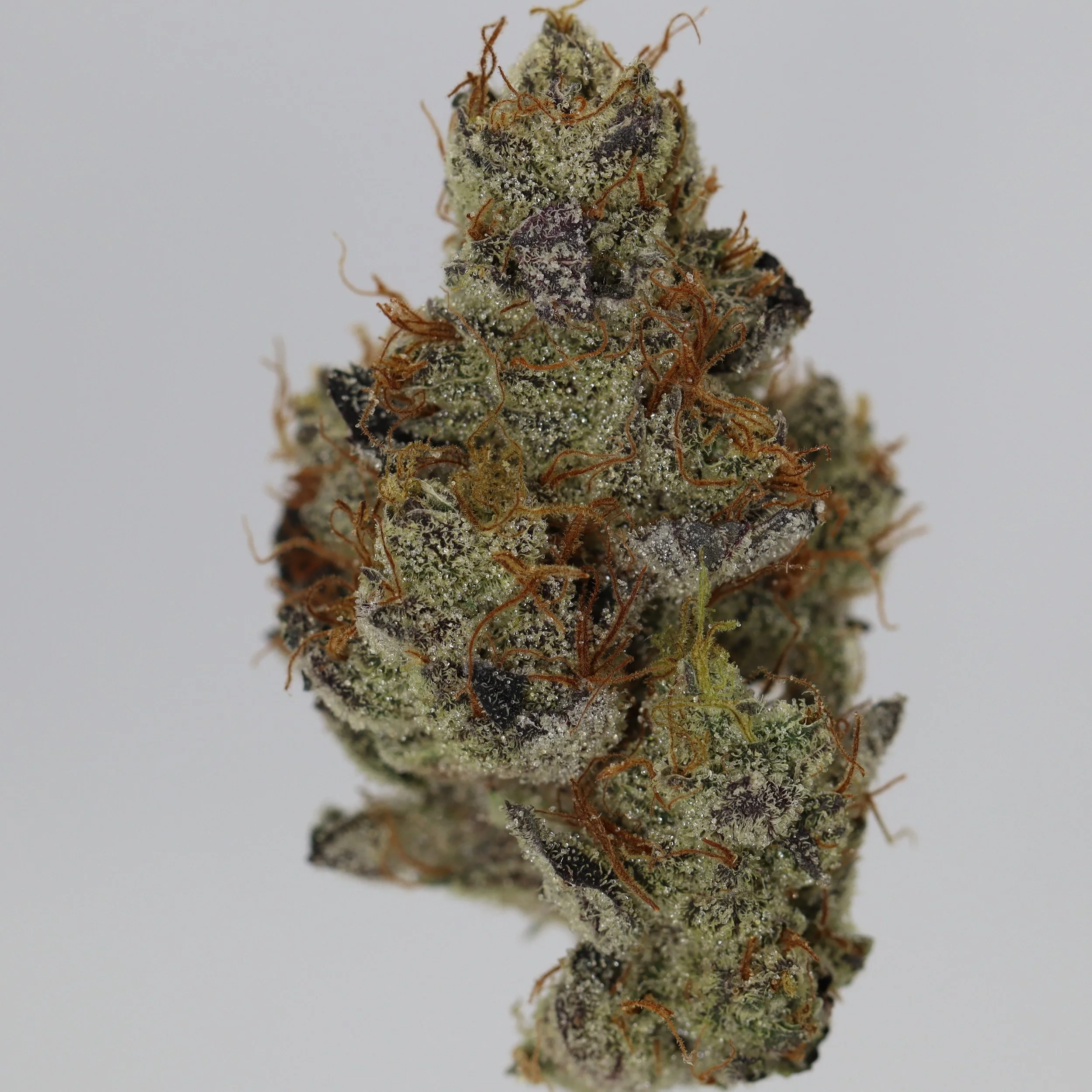   Mentation  
  GMO  
  (ChemD x GSC Forum)  
 $30 - 1/8
 
$60 - 1/4
 
$110 - 1/2
 
$210 - Full
 