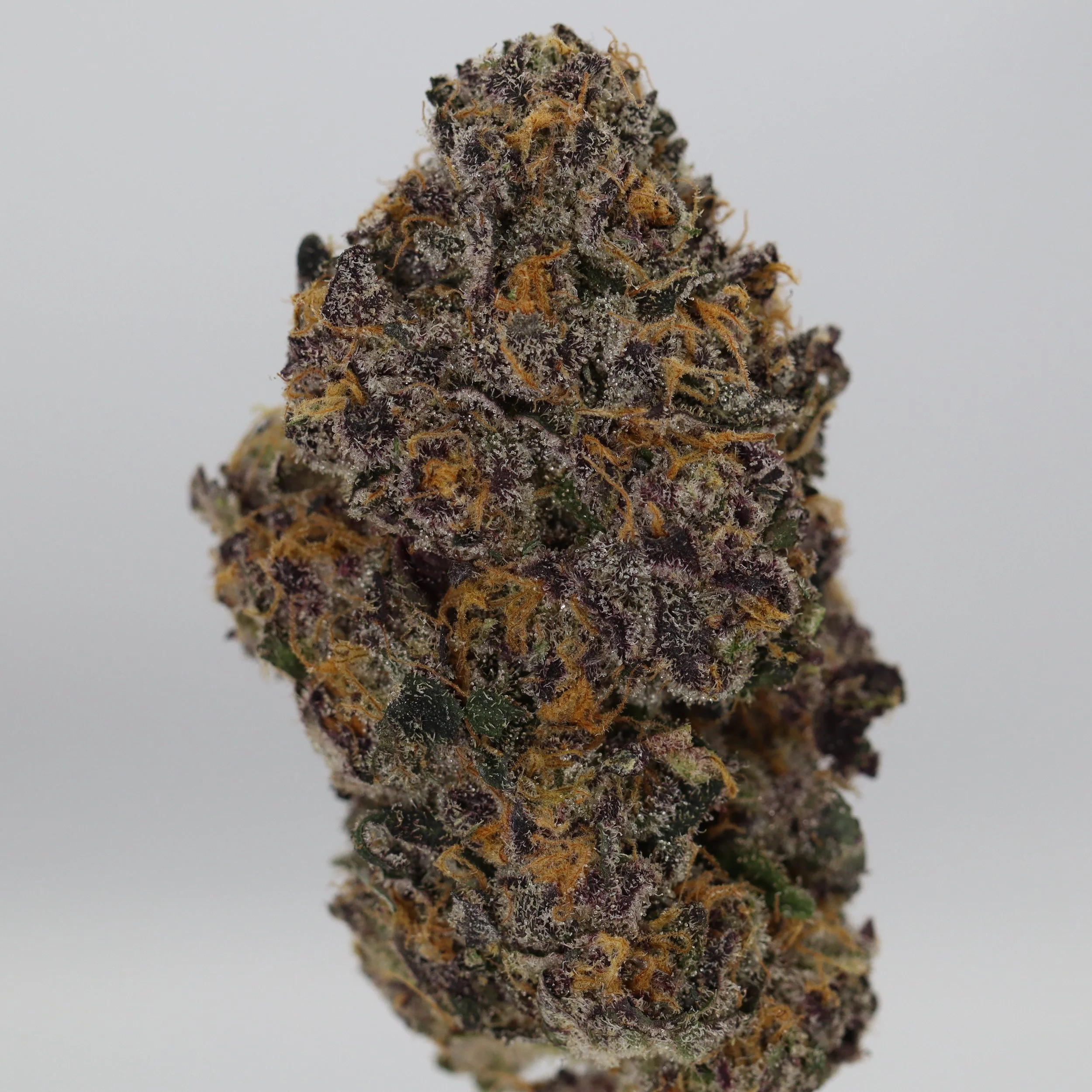   Firefly Organics  
  Permanent Marker  
  (Biscotti x Jealousy x Sherbert Bx)  
 $30 - 1/8
 
$60 - 1/4
 
$110 - 1/2
 
$210 - Full
 