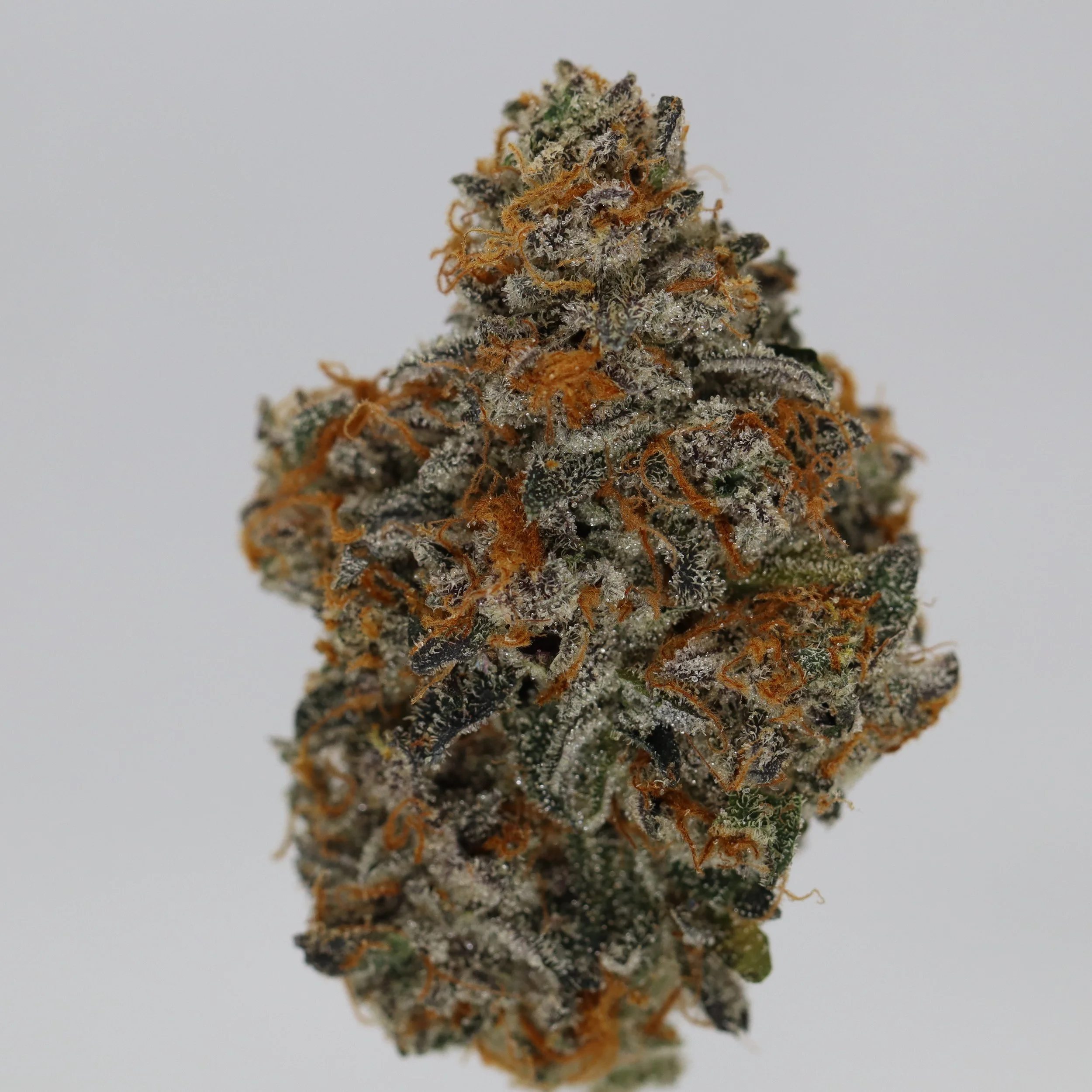   IPK  
  Bacio Gelato  
  (Sunset Sherbert x Thin Mint Cookies)  
 $30 - 1/8
 
$60 - 1/4
 
$110 - 1/2
 
$210 - Full
 