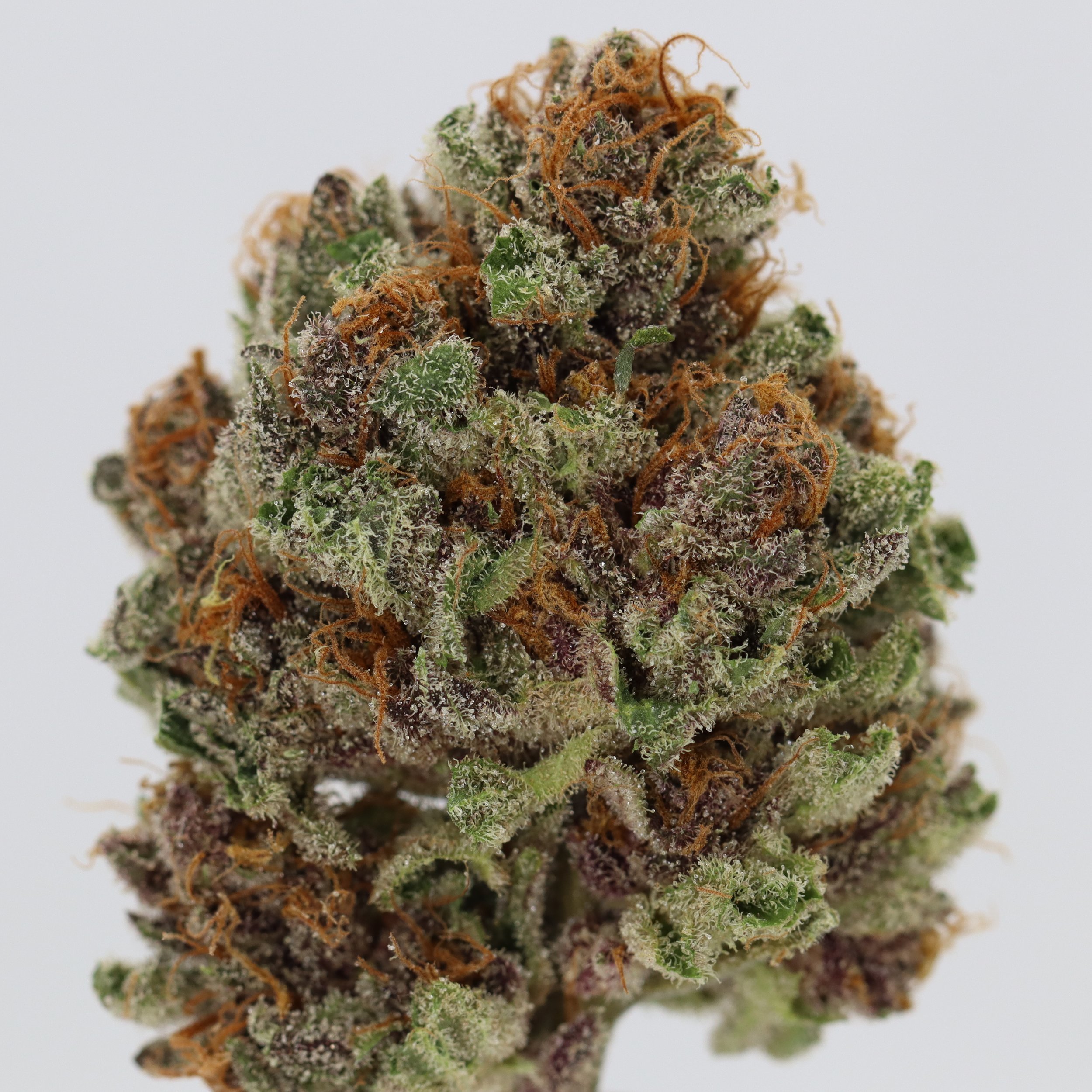   Brazen Earthworx  
  Black Lavender  
  (Flawless Lavender x Black Canyon Kush)   
 $30 - 1/8
 
$60 - 1/4
 
$110 - 1/2
 
$210 - Full
 