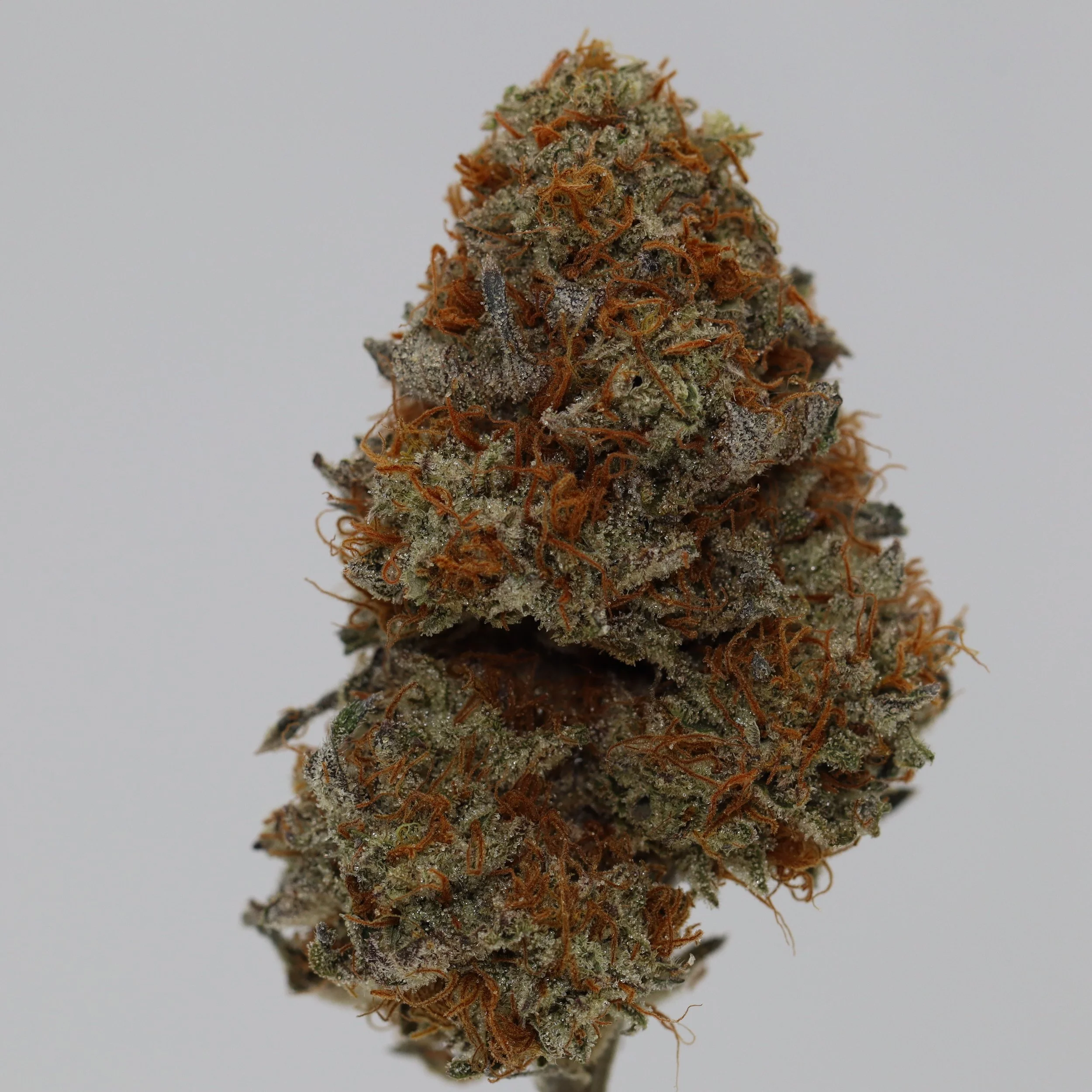   Resin Remedies  
  Dilly Bars  
  (Cookies & Cream IX3 x Mint Chip)  
 $30 - 1/8
 
$60 - 1/4
 
 $110 - 1/2  
 
 $200 - Full  