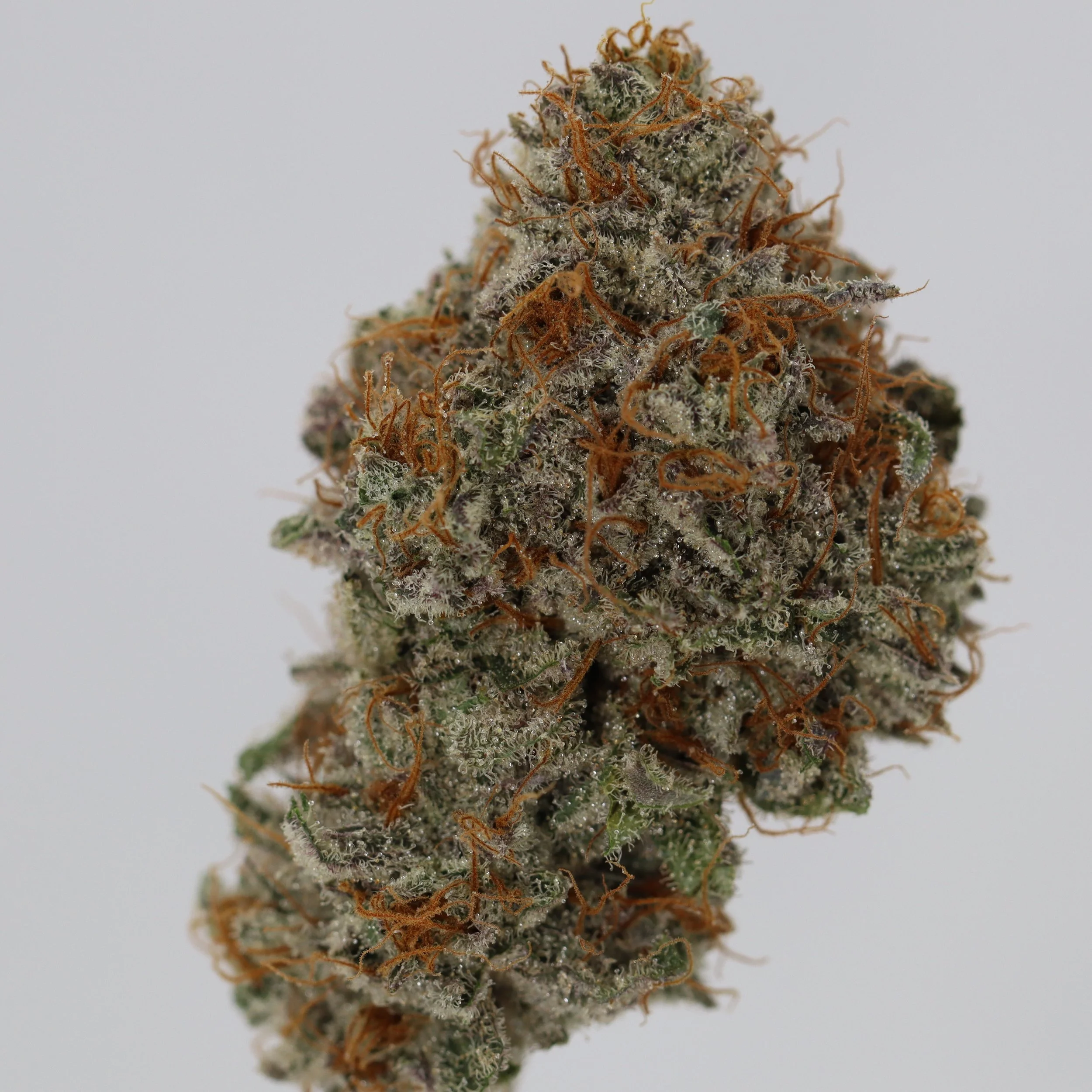   Resin Remedies  
  Breathstar  
  (Peanut Butter Breath x Star Kush)  
 $30 - 1/8
 
$60 - 1/4
 
$110 - 1/2
 
 $200 - Full  
 