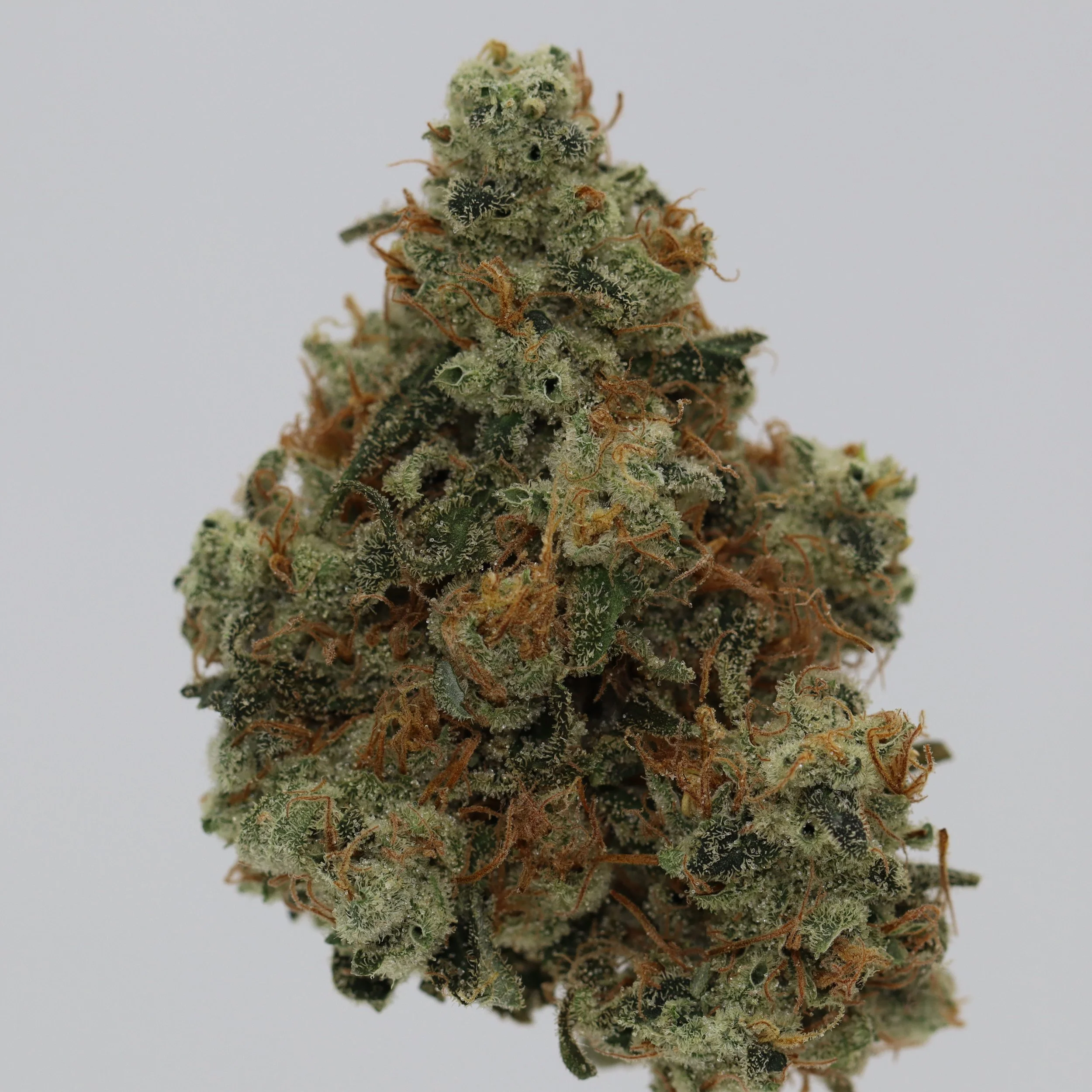   Independence Farm  Crazy Composer    
  Chemdog D  
  (90's Heirloom)   [Original cut from Chemdog Greg]  
 $30 - 1/8
 
$60 - 1/4
 
$110 - 1/2
 
$210 - Full
 
