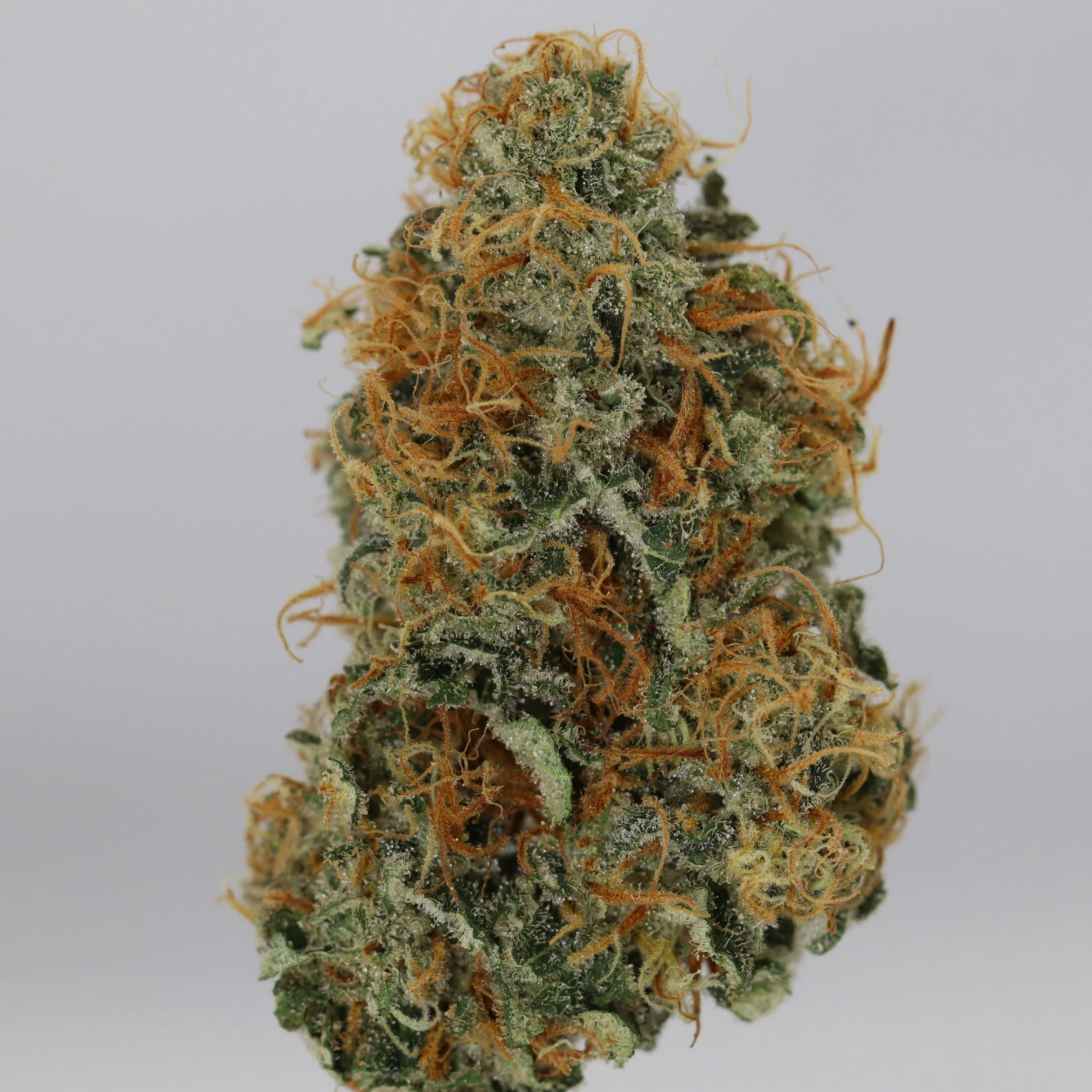   Papermill Cannabis  
  Maui Pineapple  
  (Maui Wowie x Pineapple)  
 $30 - 1/8
 
$60 - 1/4
 
$110 - 1/2
 
$210 - Full
 