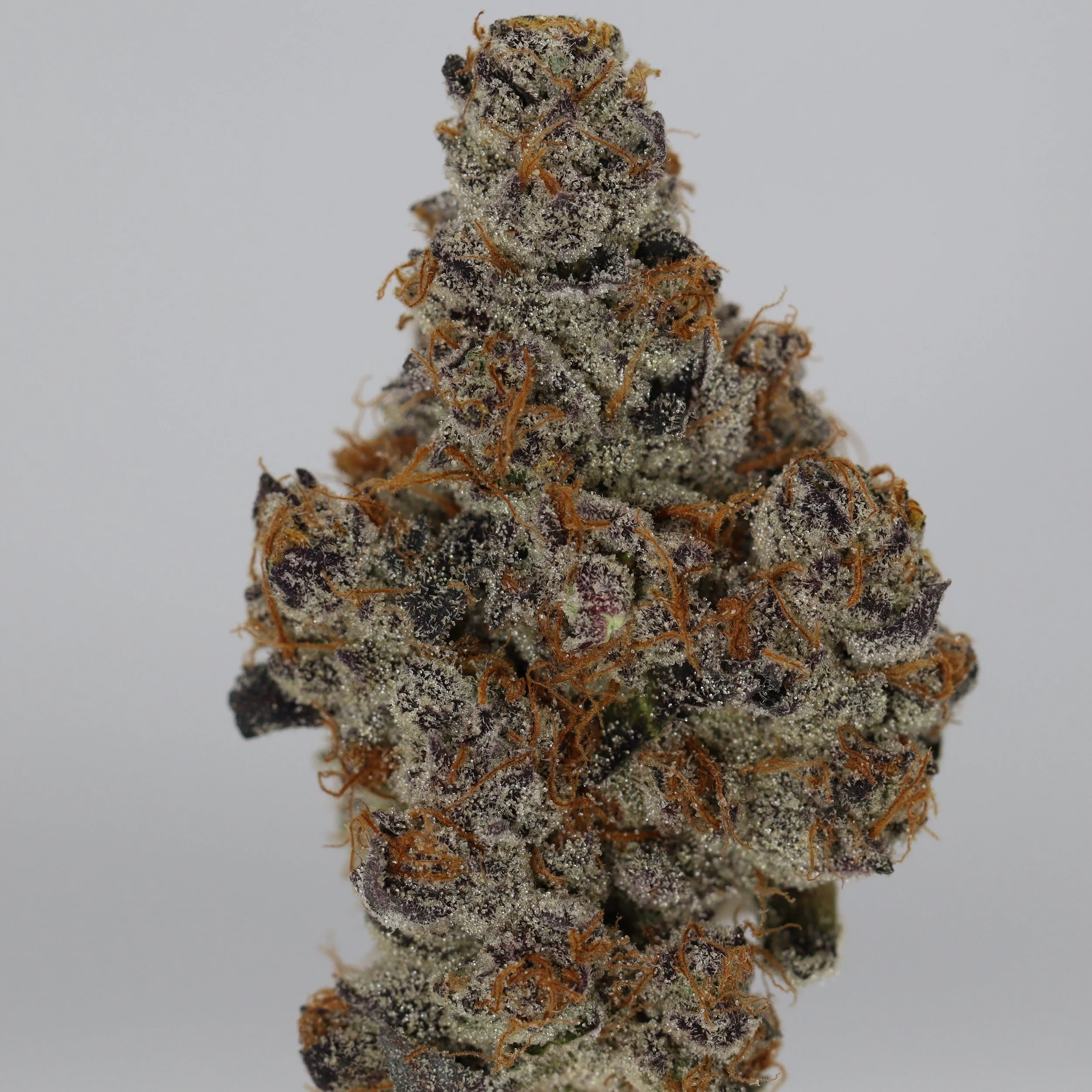   Firefly Organics  
  Double Black Diamond  
  (Double OG x Wedding Pie)  
 $30 - 1/8
 
$60 - 1/4
 
$110 - 1/2
 
 $210 - Full 
 