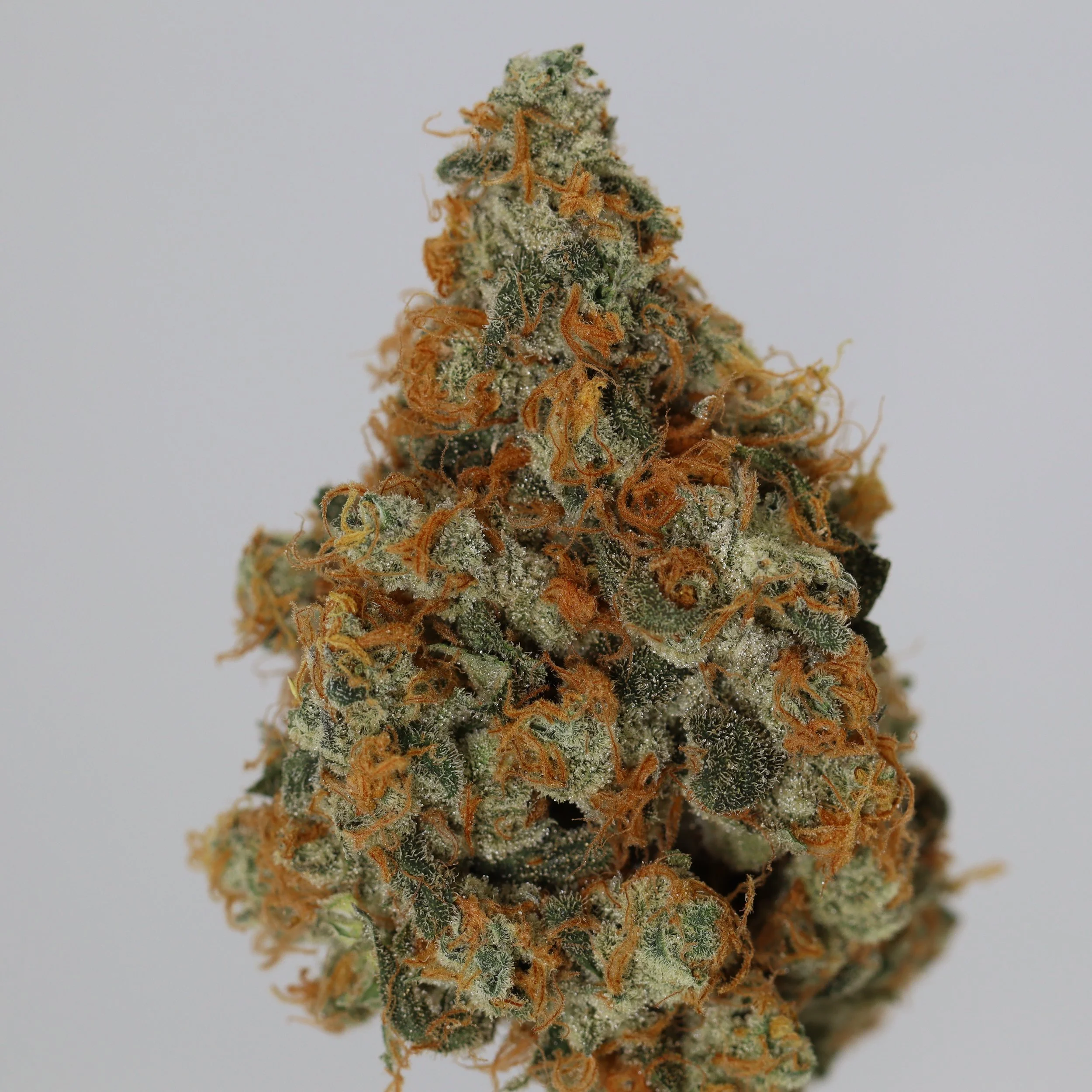  Dialed In Farms  
  Cindy City 99  
  ((NYCD x Cinderella 99) x (LA Kush x Zkittles))  
 $30 - 1/8
 
$60 - 1/4
 
$110 - 1/2
 
$210 - Full
 
