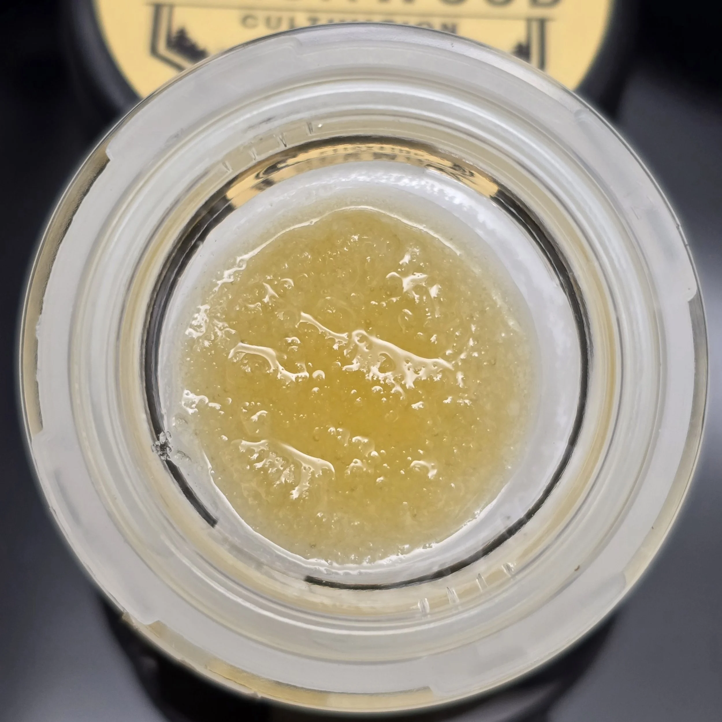   Blackwood Cultivation  
  The Juice  
  (Temple x Lemon Thai)  
  Live Resin Processed by Oasis Refinery  
 $30/g
 