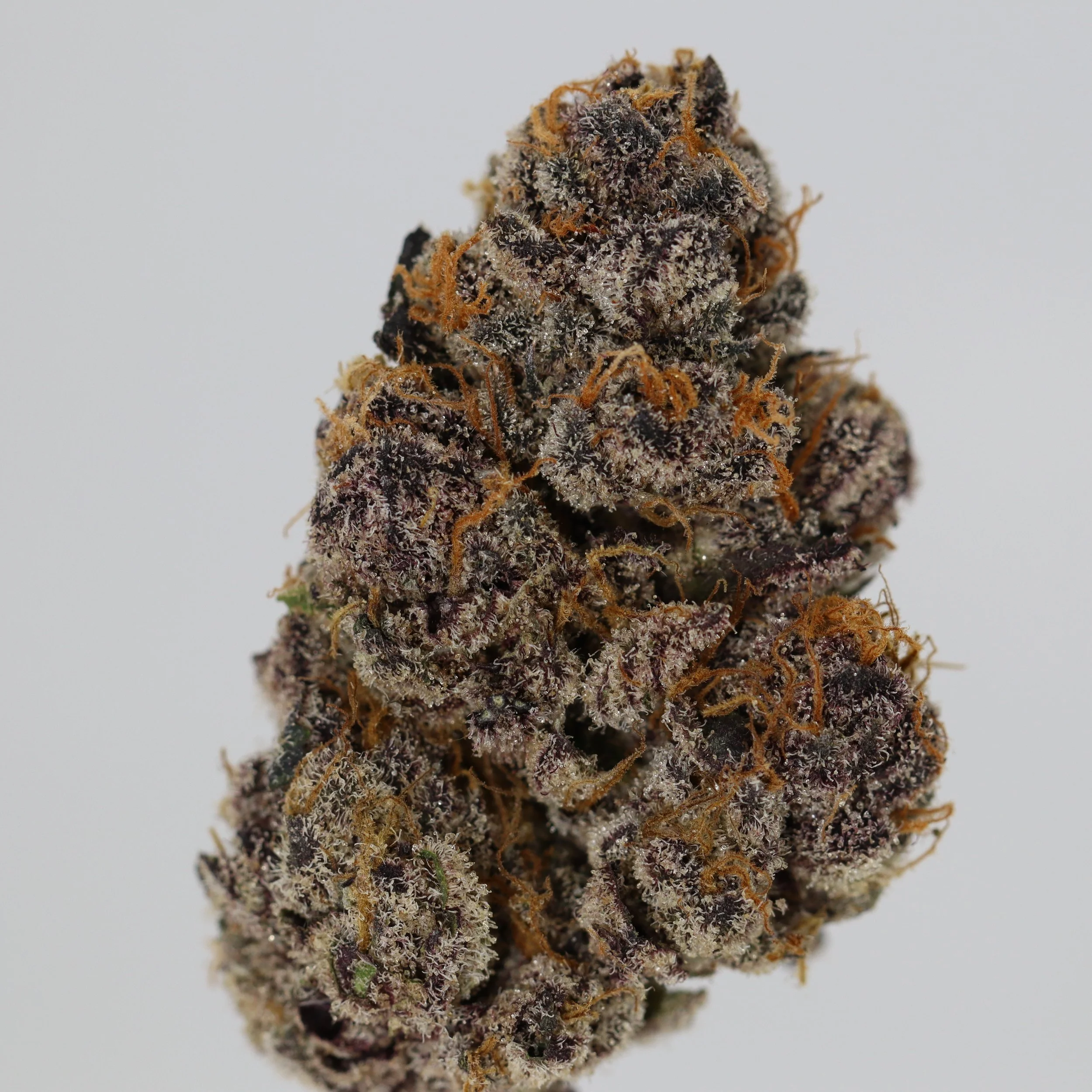   Funk House Farm  
  Permanent Marker  
  ((Biscotti x Sherb) x Jealousy)  
 $30 - 1/8
 
$60 - 1/4
 
 $110 - 1/2   $100- 1/2 
 
 $200 - Full   $180 - Full 
 