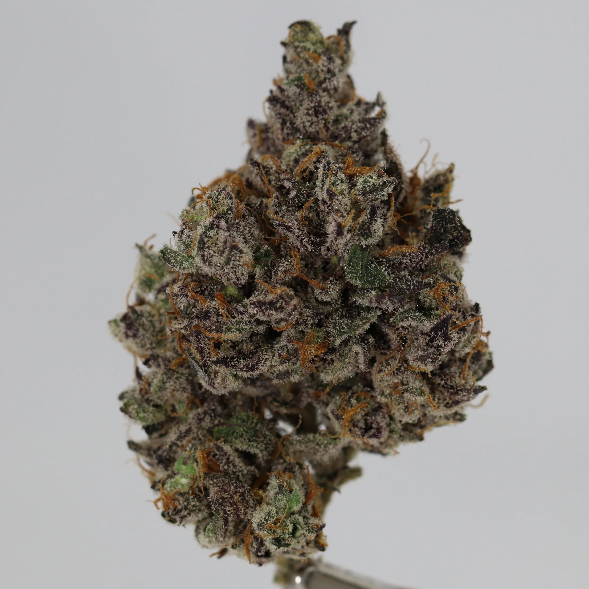Flower — Clouded Valley Cannabis LLC