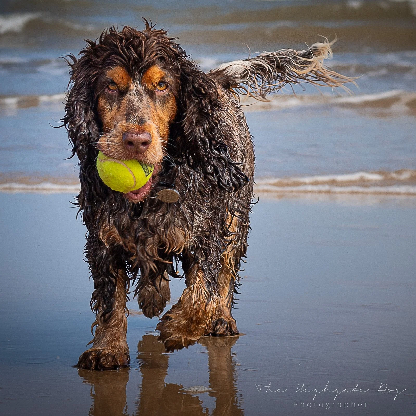 walberswick ball 1.jpg