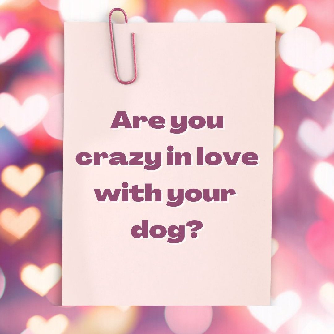 Crazy in love with your dog? 