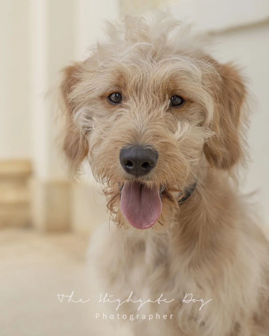 valentine and misc-1.jpg