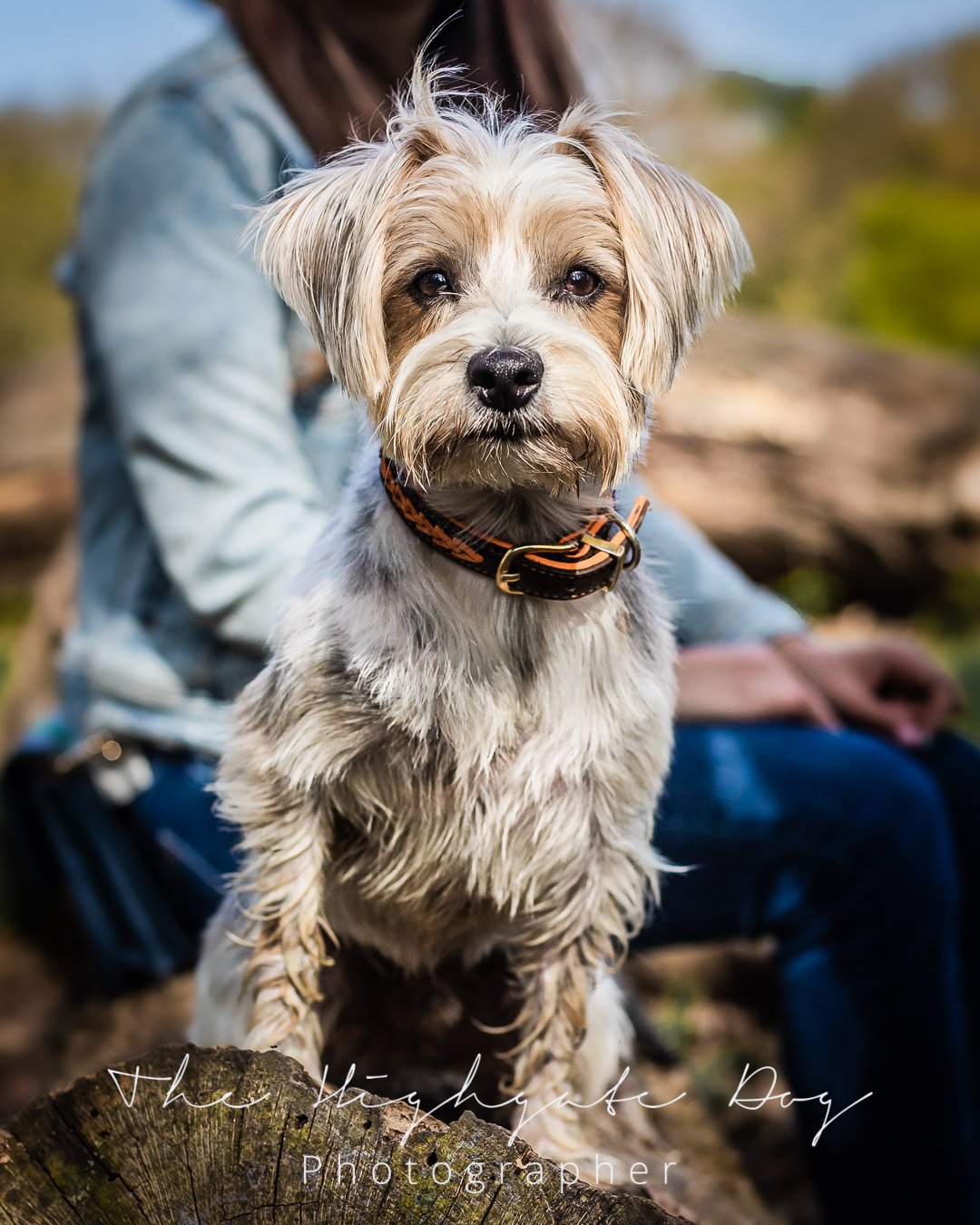 Sparky social 21.jpg