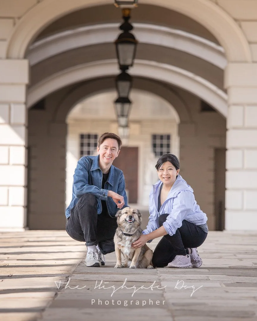 Dog photoshoot in Greenwich Park London